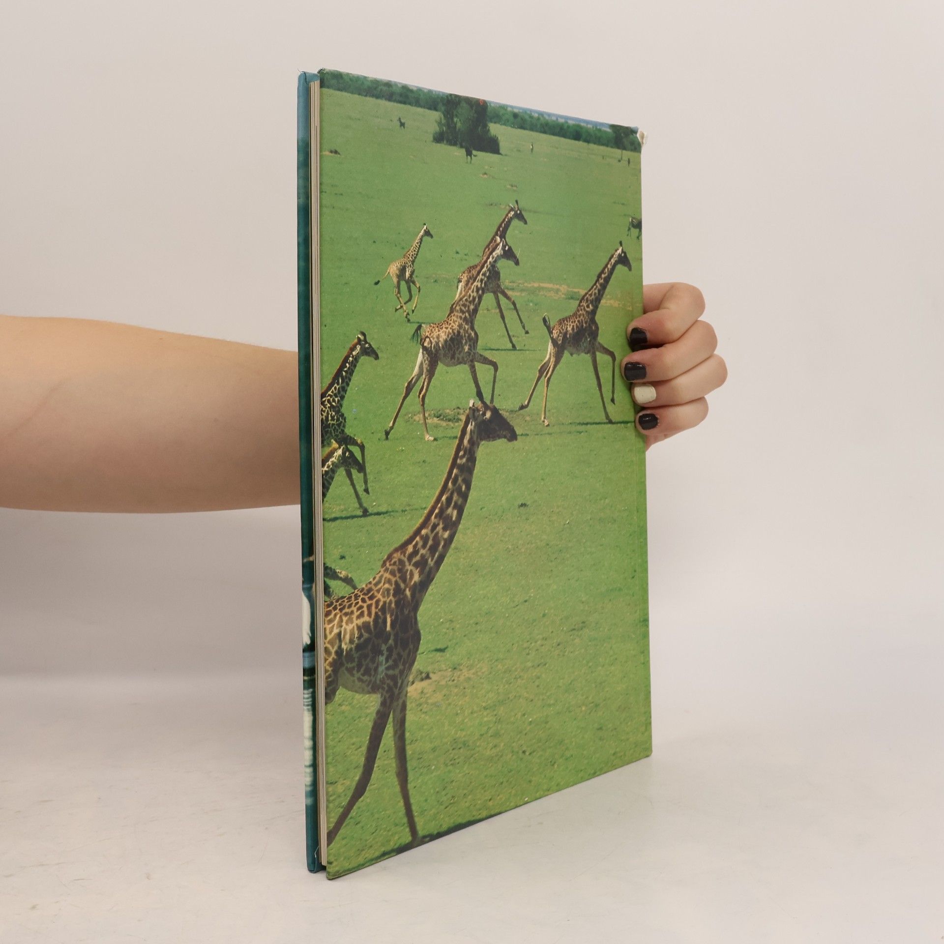 Collectif d'auteurs Vita degli animali