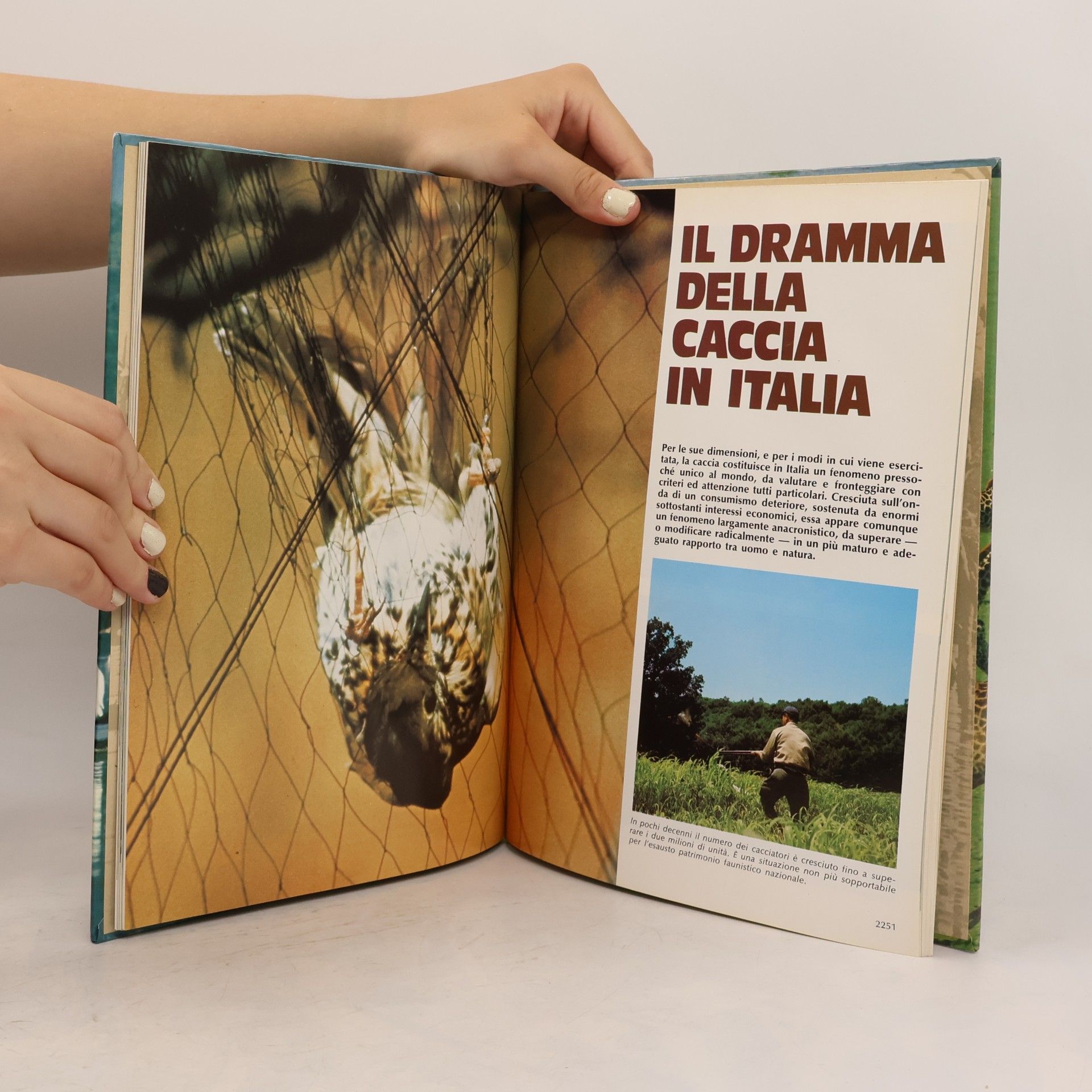 Collectif d'auteurs Vita degli animali