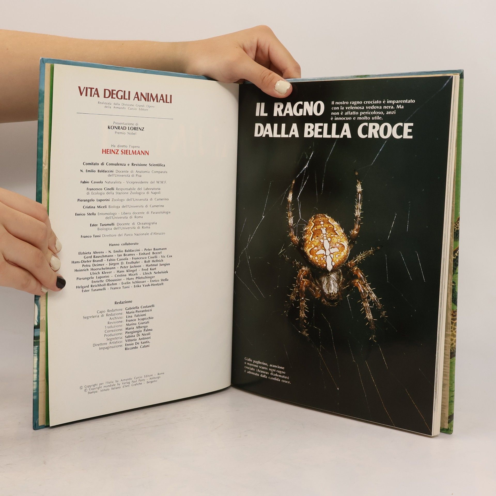 Collectif d'auteurs Vita degli animali