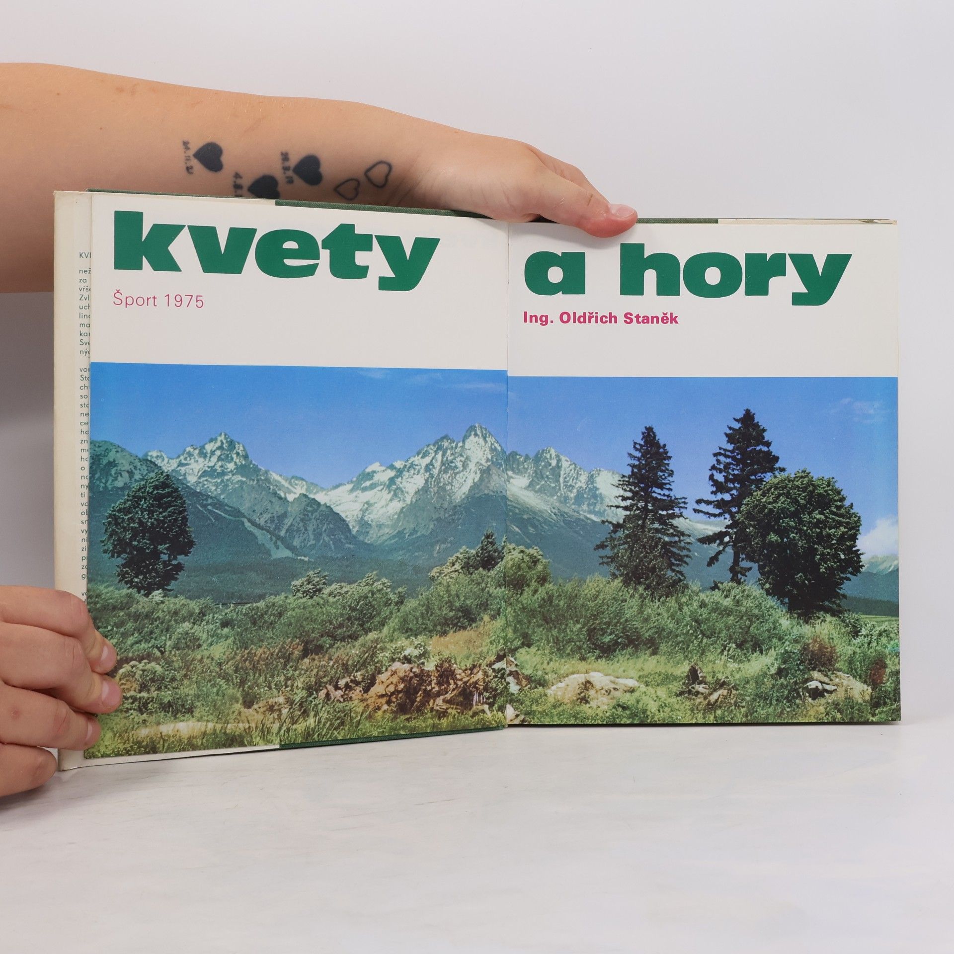 Oldřich Staněk Kvety a hory