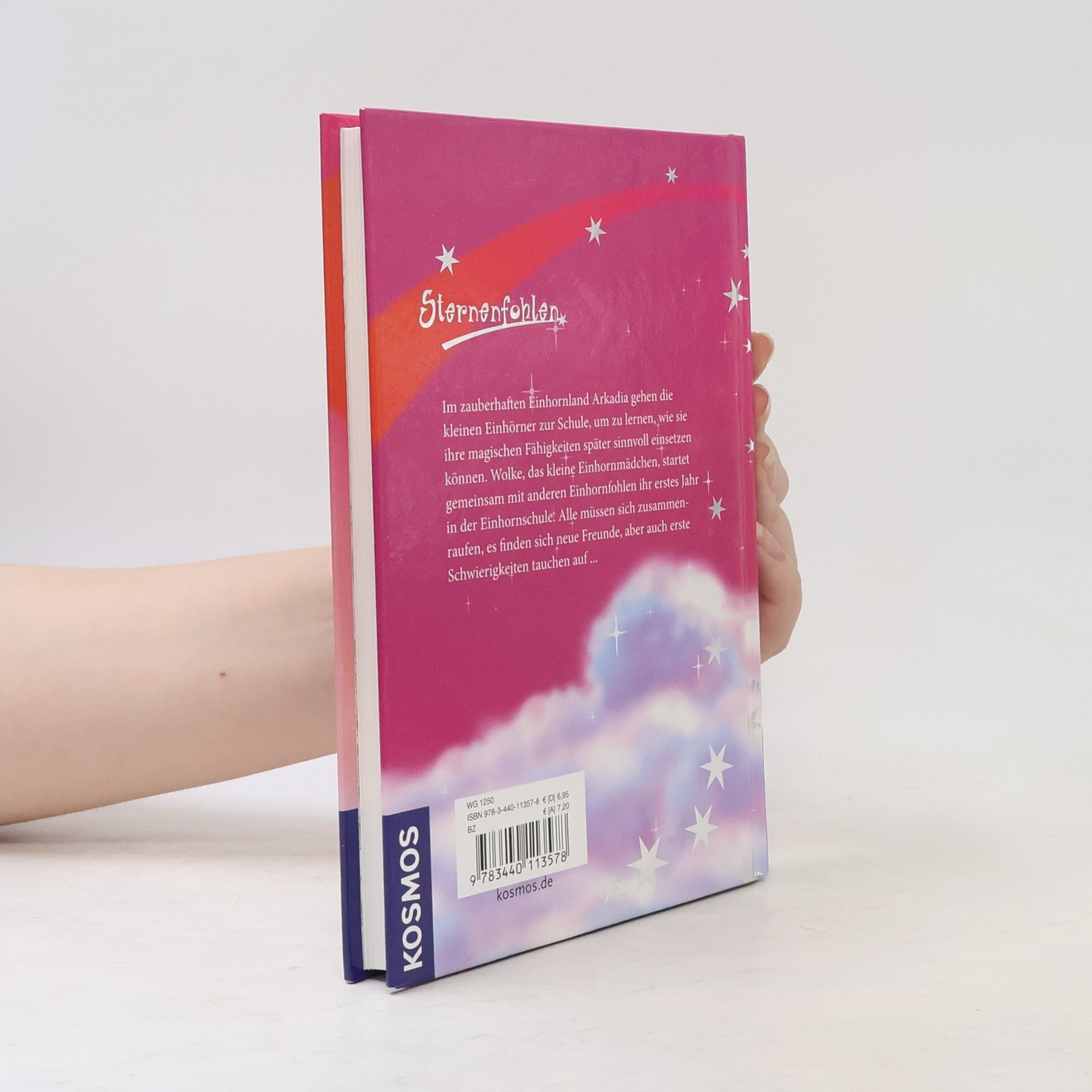 Autorenkollektiv Sternenfohlen in der Einhornschule