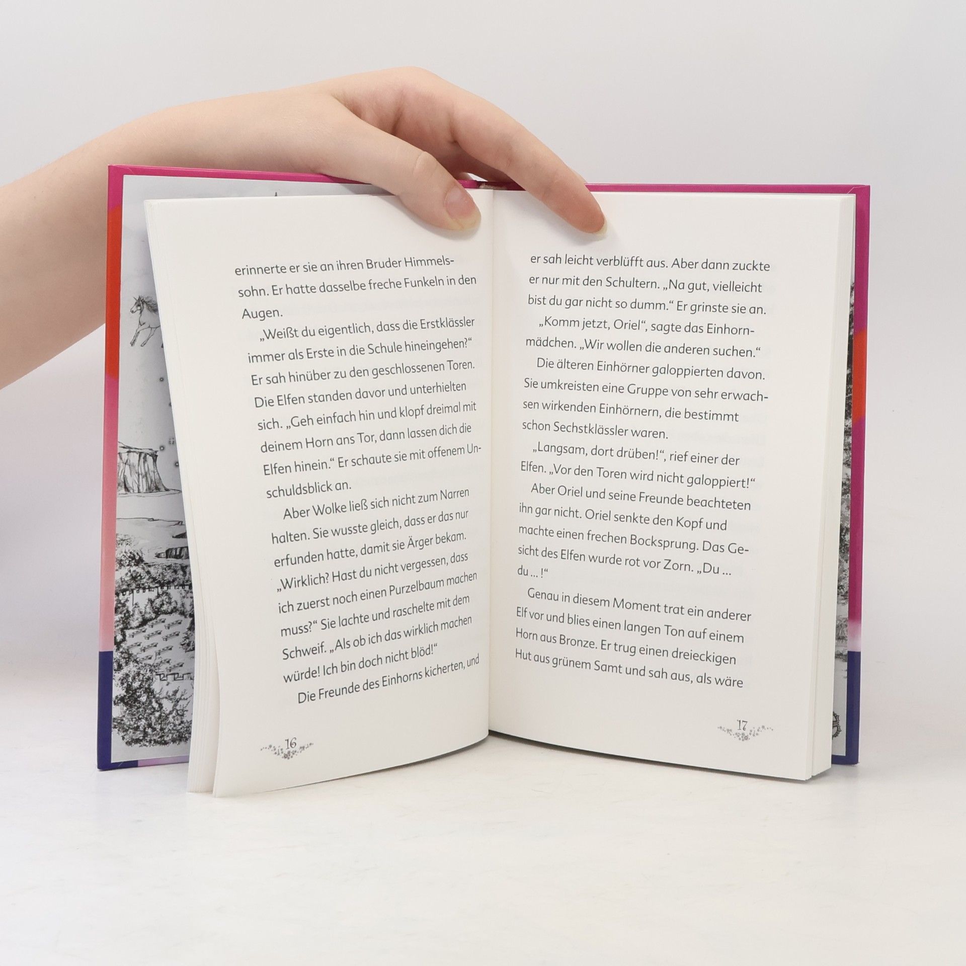 Autorenkollektiv Sternenfohlen in der Einhornschule