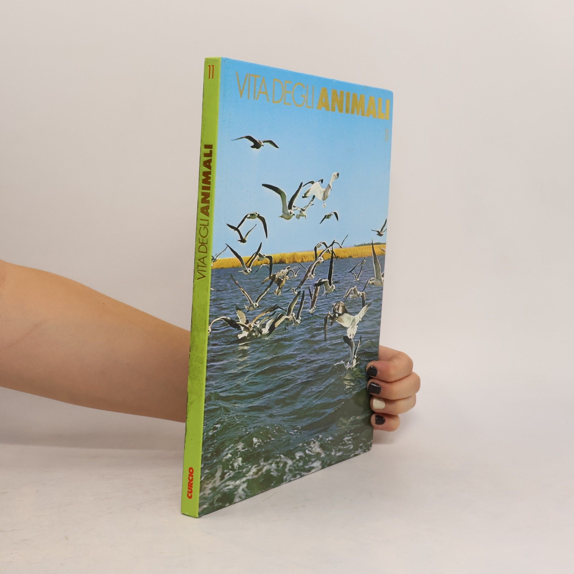 Collectif d'auteurs Vita degli animali 11