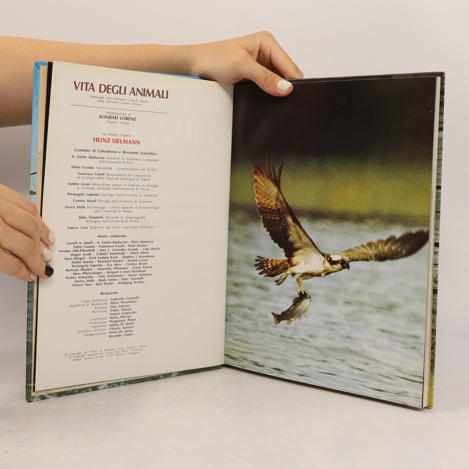 Collectif d'auteurs Vita degli animali 11