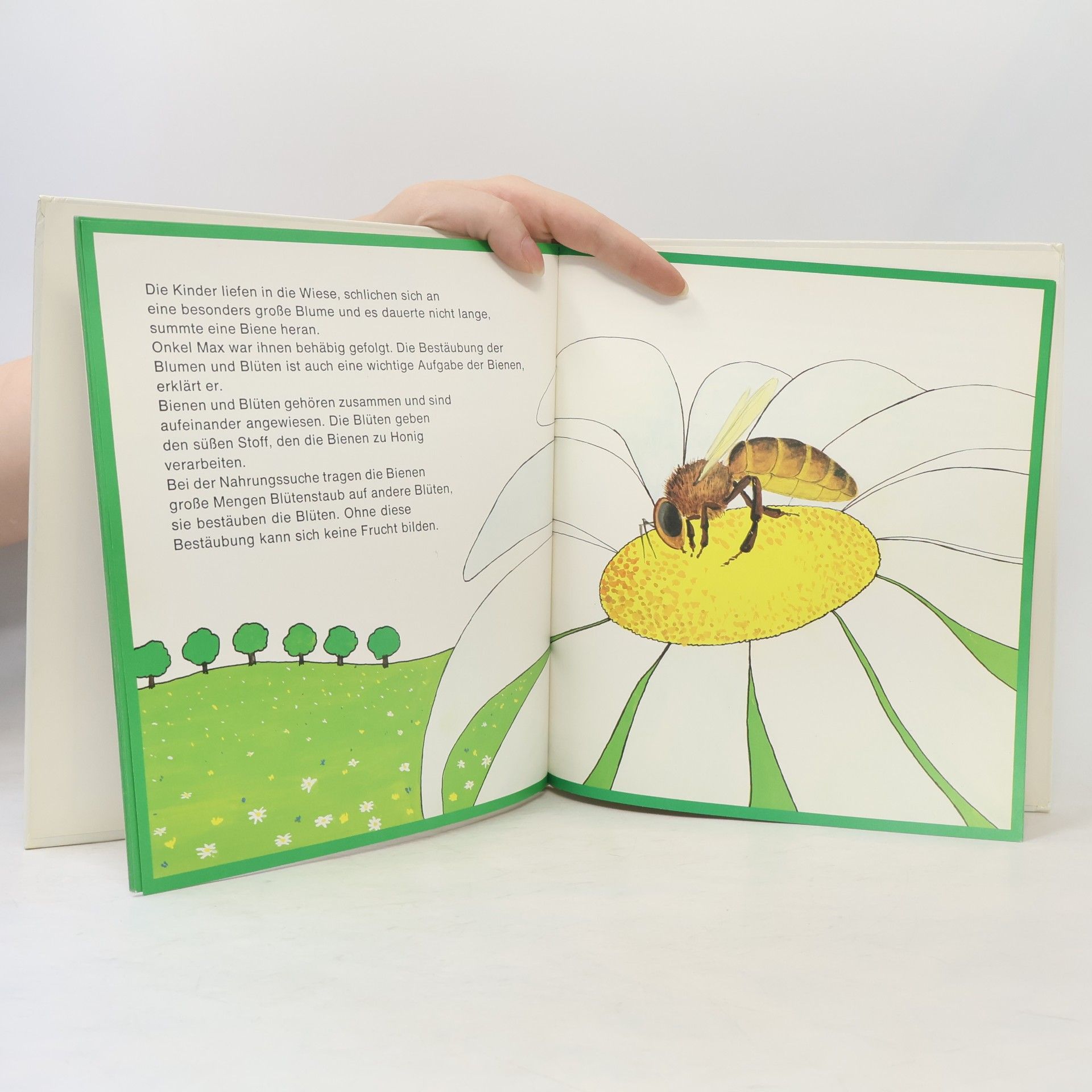 Autorenkollektiv Onkel Max und die Bienen