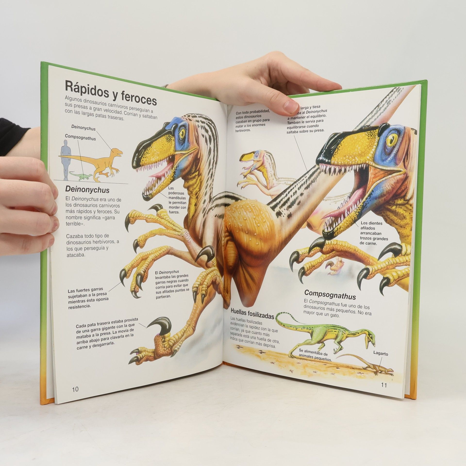 AA.VV. naturaleza joven: Dinosaurios