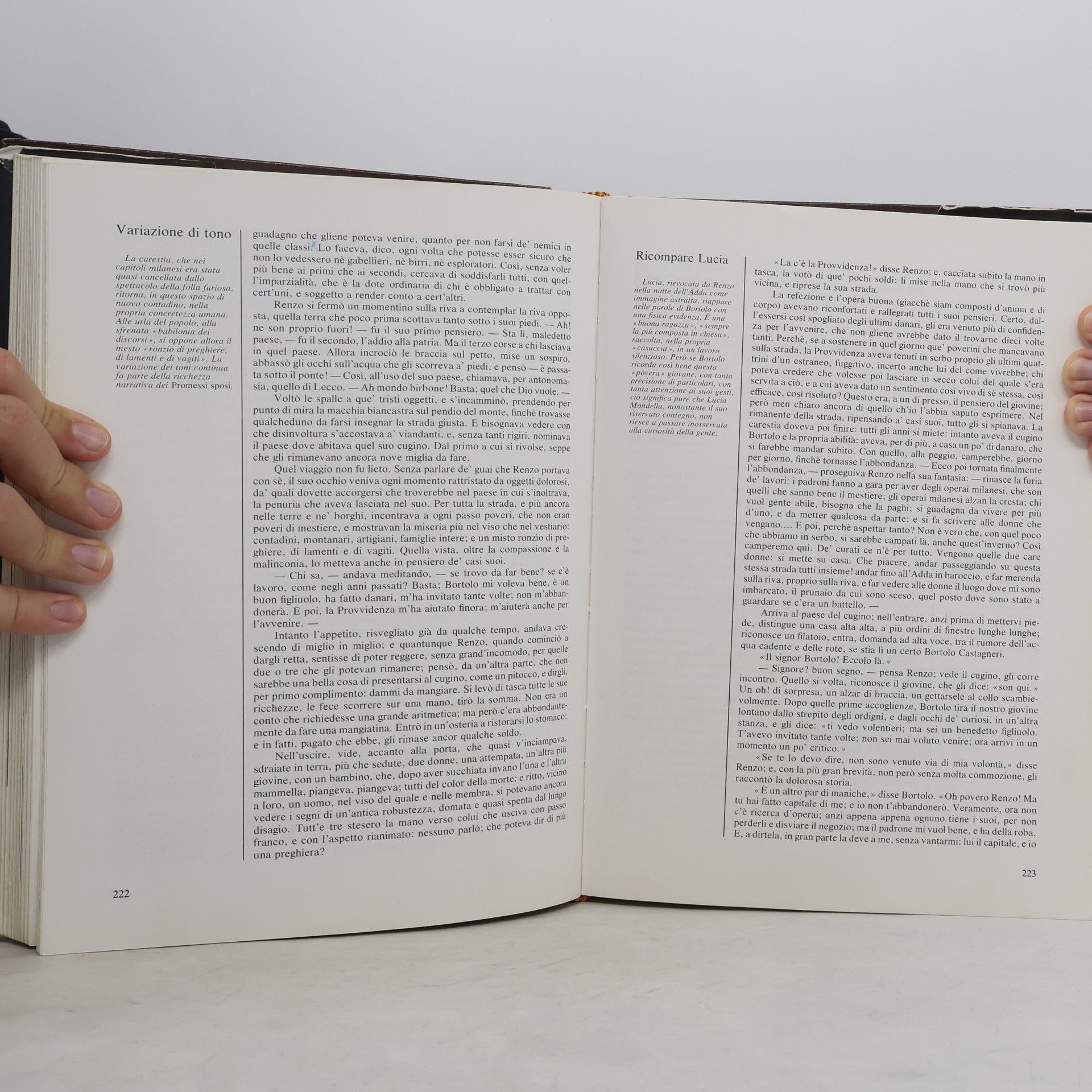 Alessandro Manzoni Capolavori della letteratura illustrati - 1: I Promessi sposi