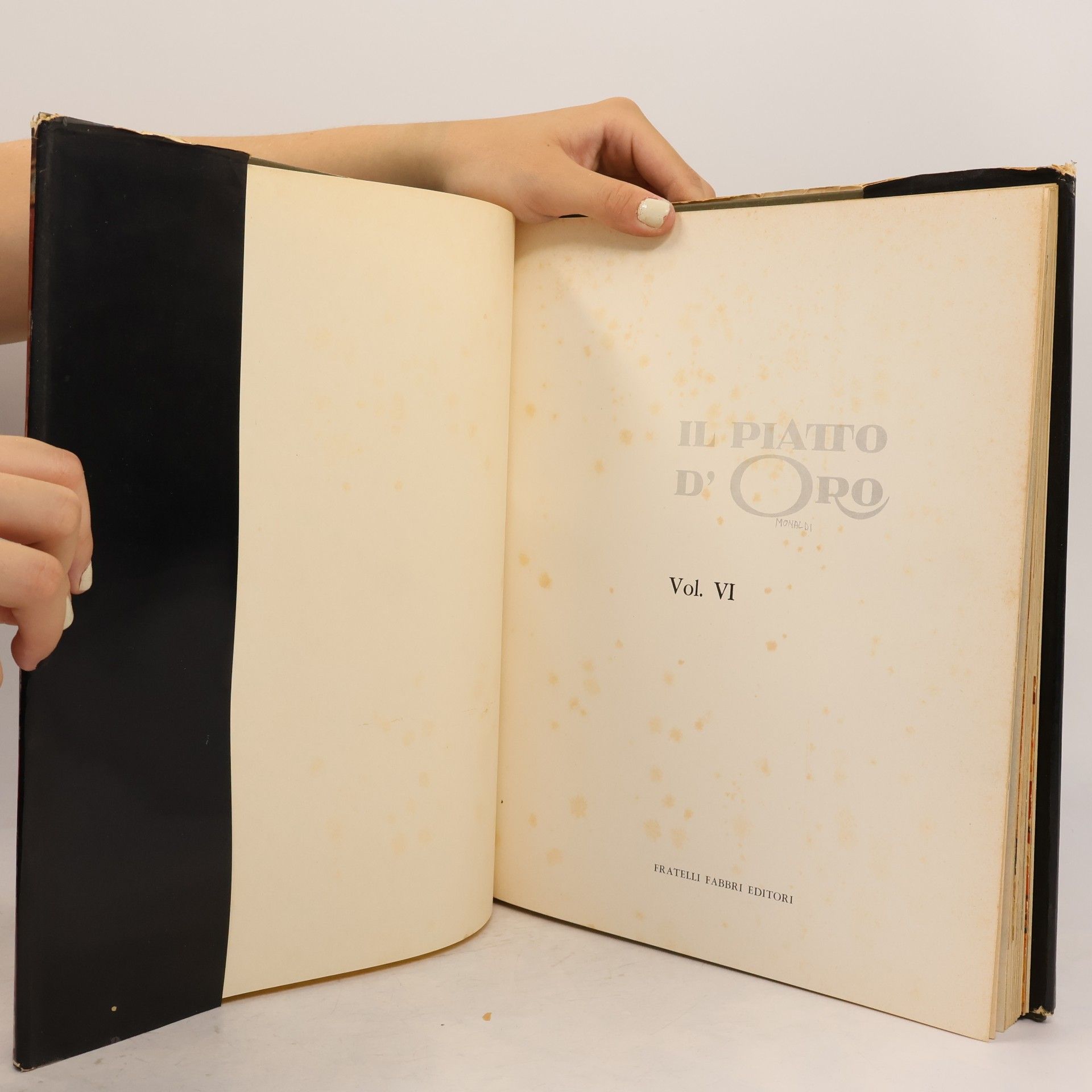 Autores varios Il piatto d'Oro VI.
