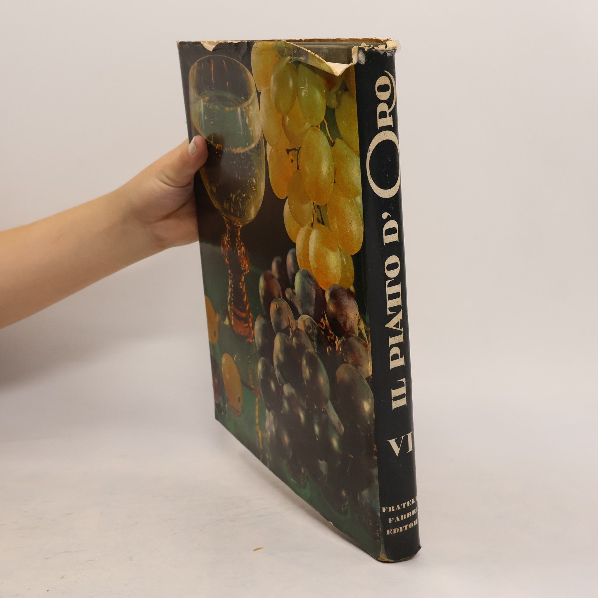 Autores varios Il piatto d'Oro VI.