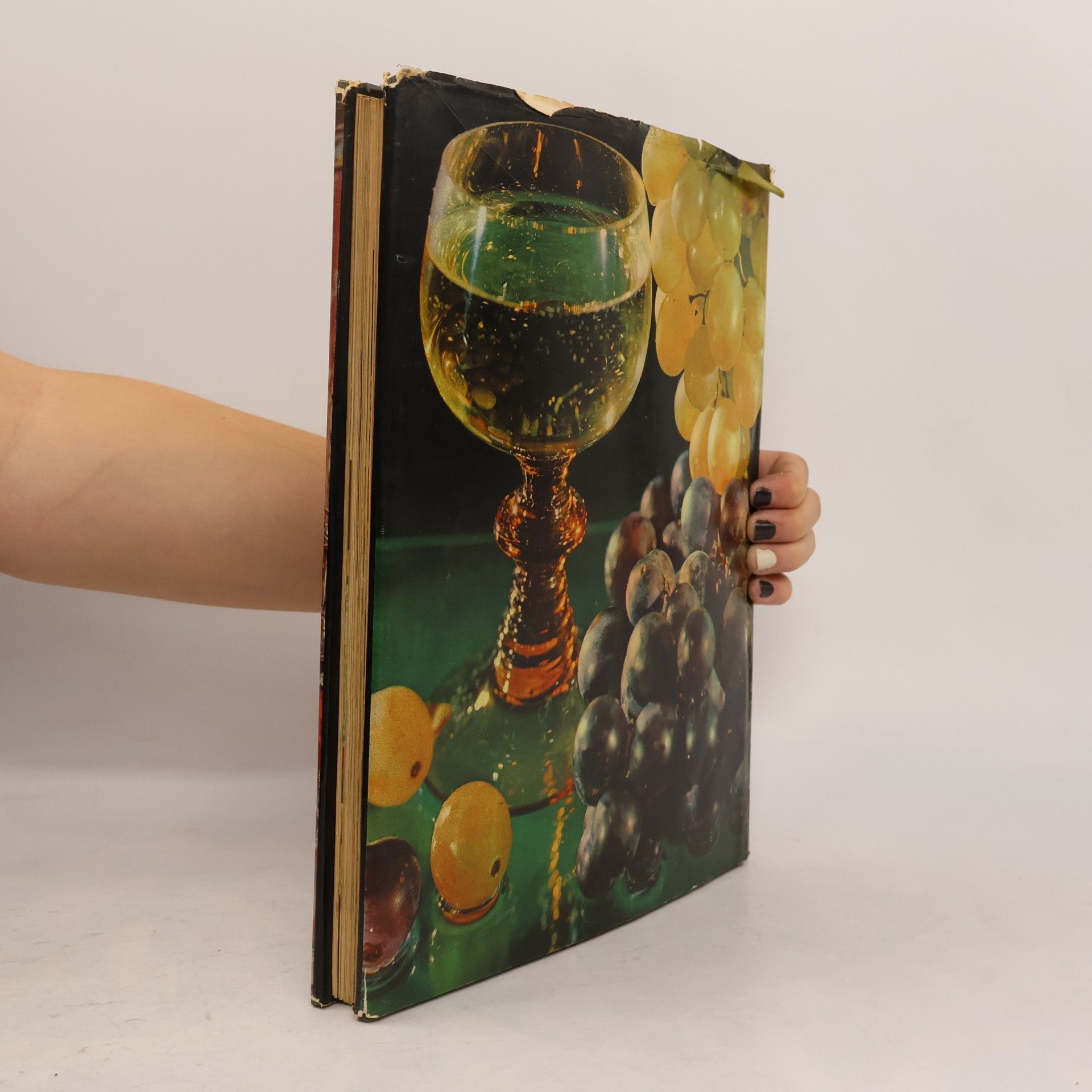 Autores varios Il piatto d'Oro VI.