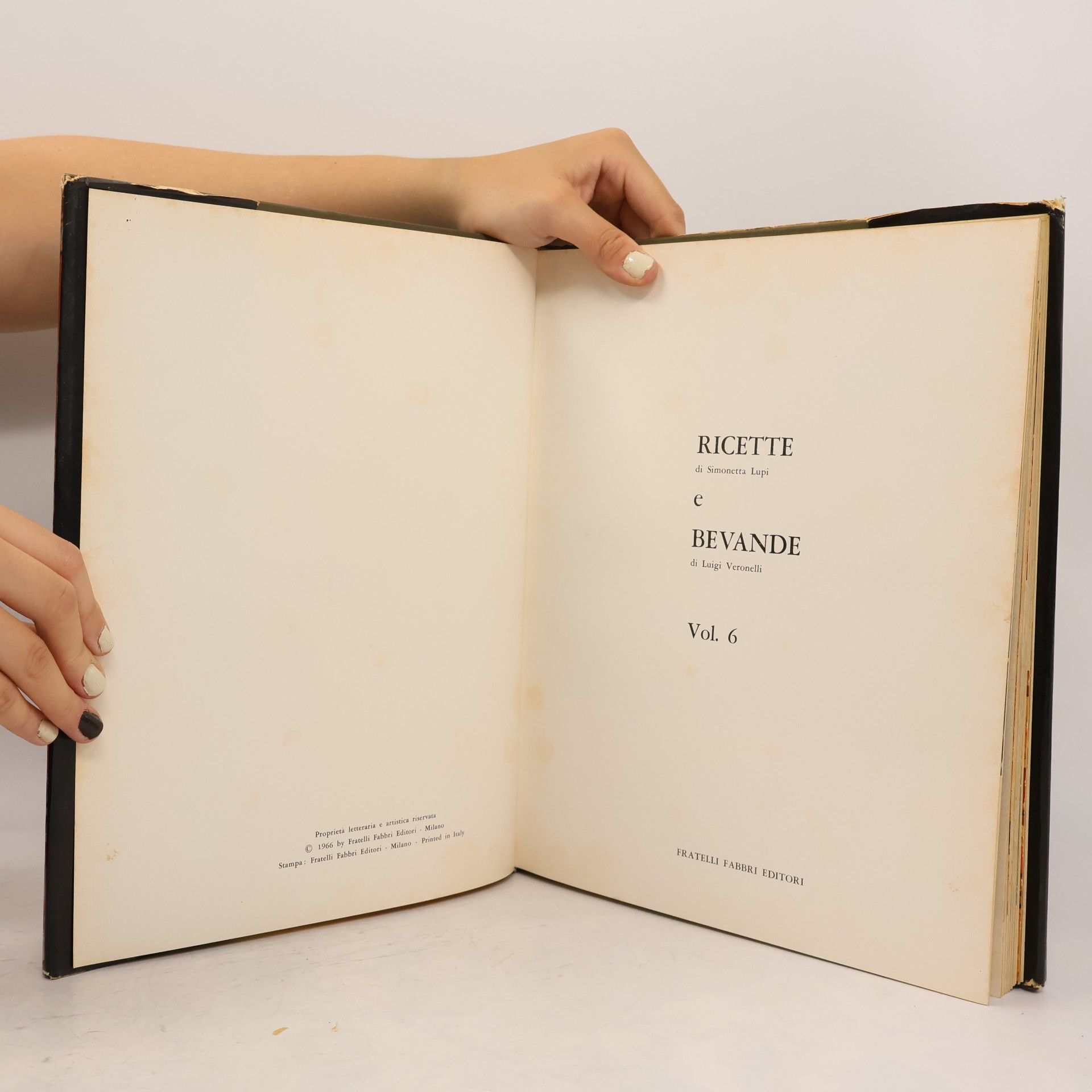 Autores varios Il piatto d'Oro VI.