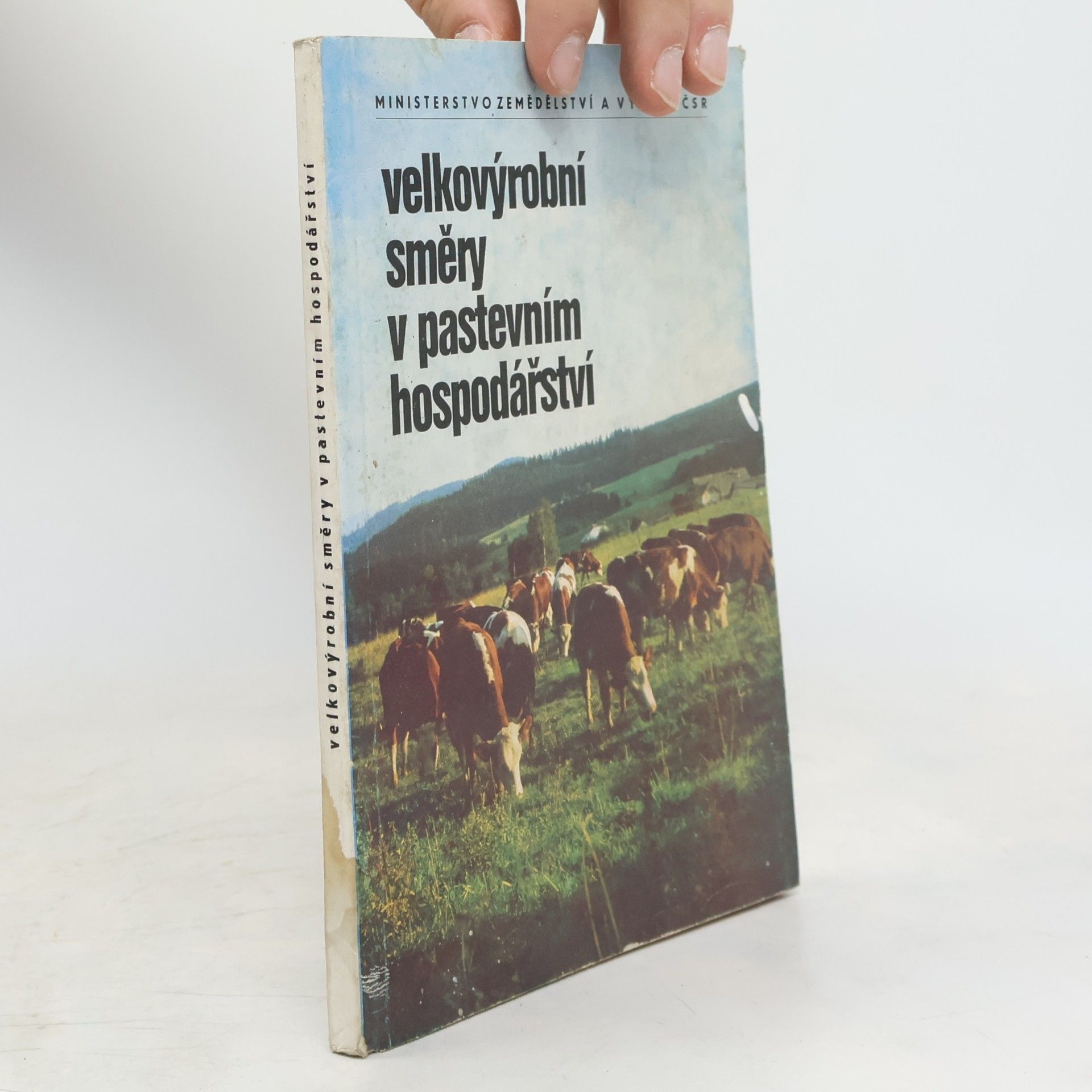 Kolektiv autorů Velkovýrobní směry v pastevním hospodářství