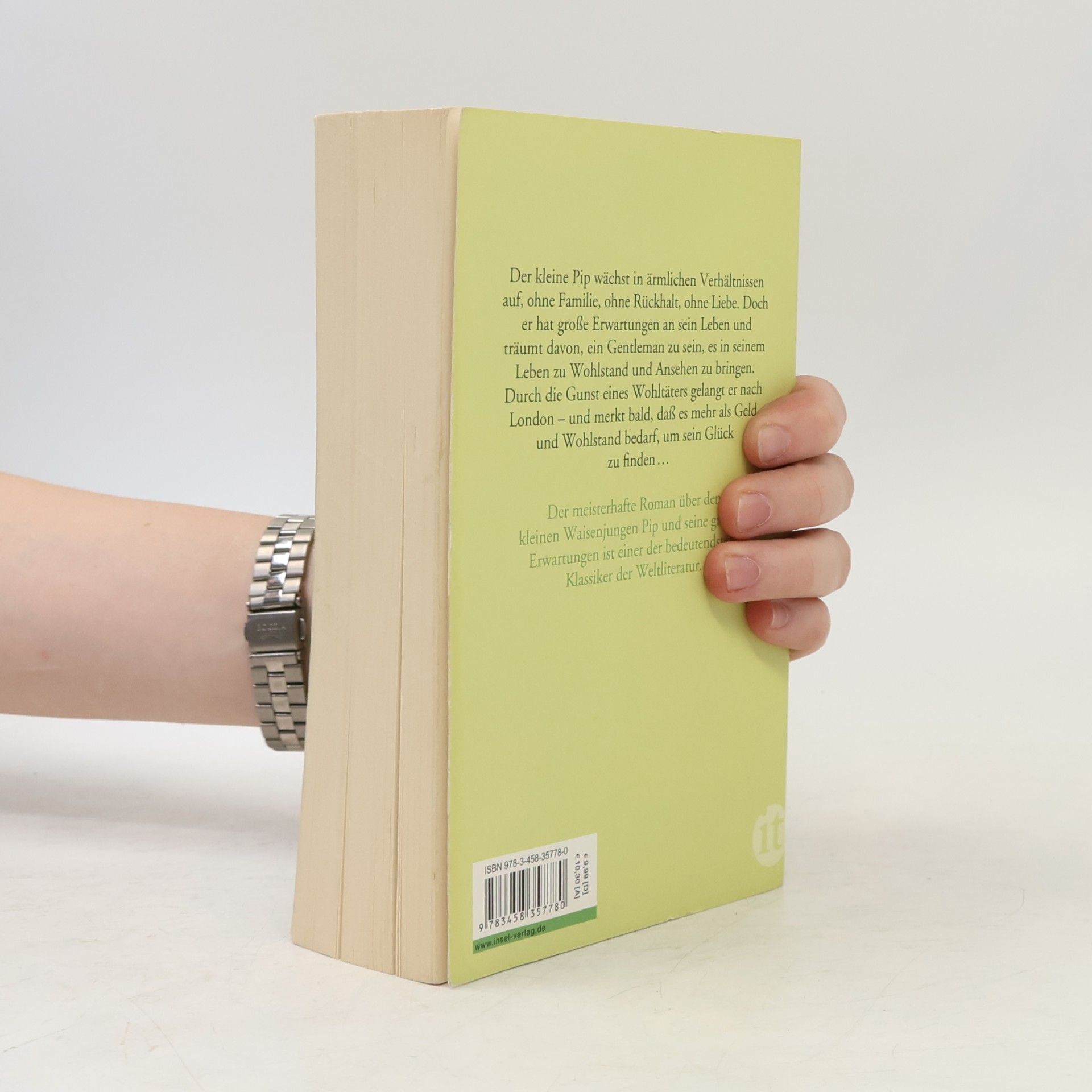 Charles Dickens Grosse Erwartungen