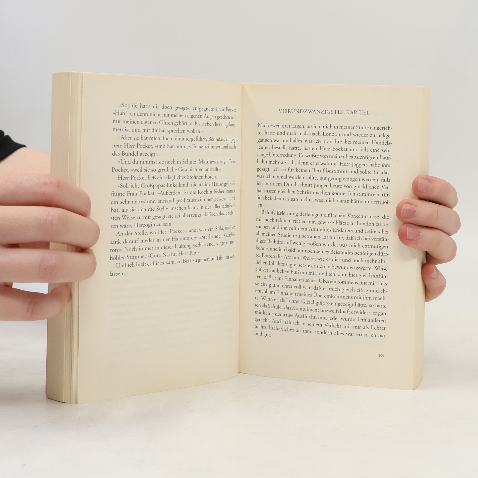 Charles Dickens Grosse Erwartungen