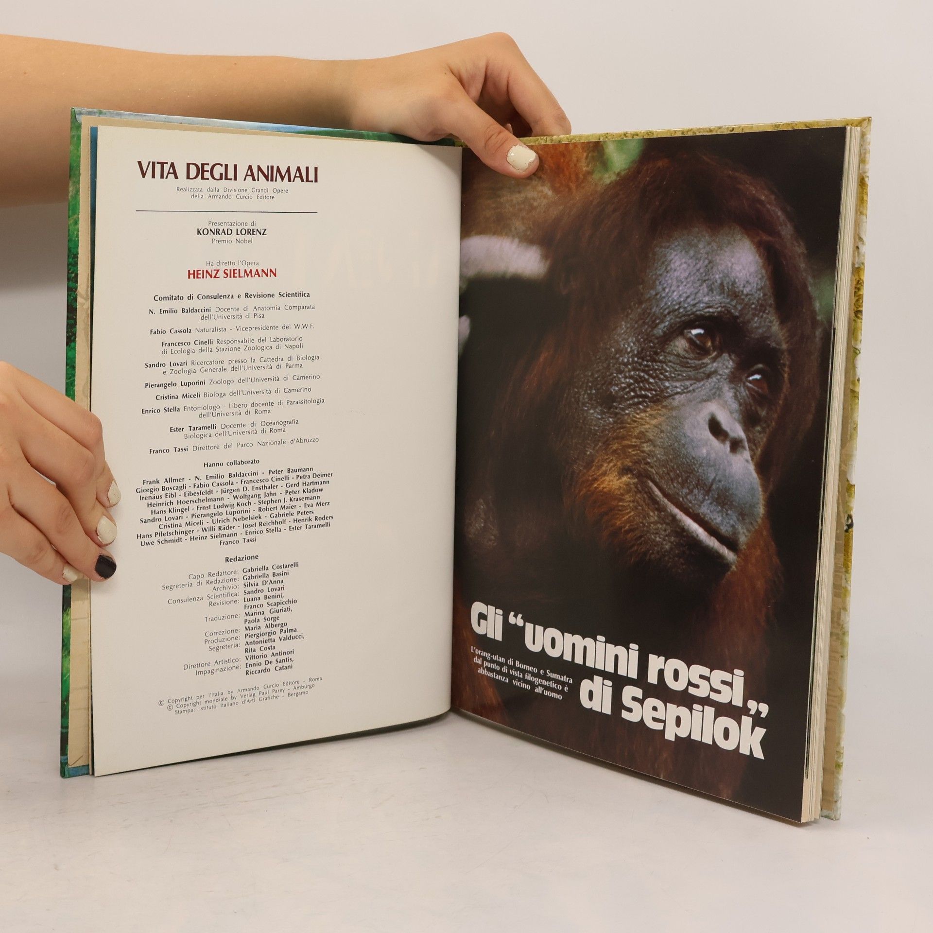 Collectif d'auteurs Vita degli animali 4