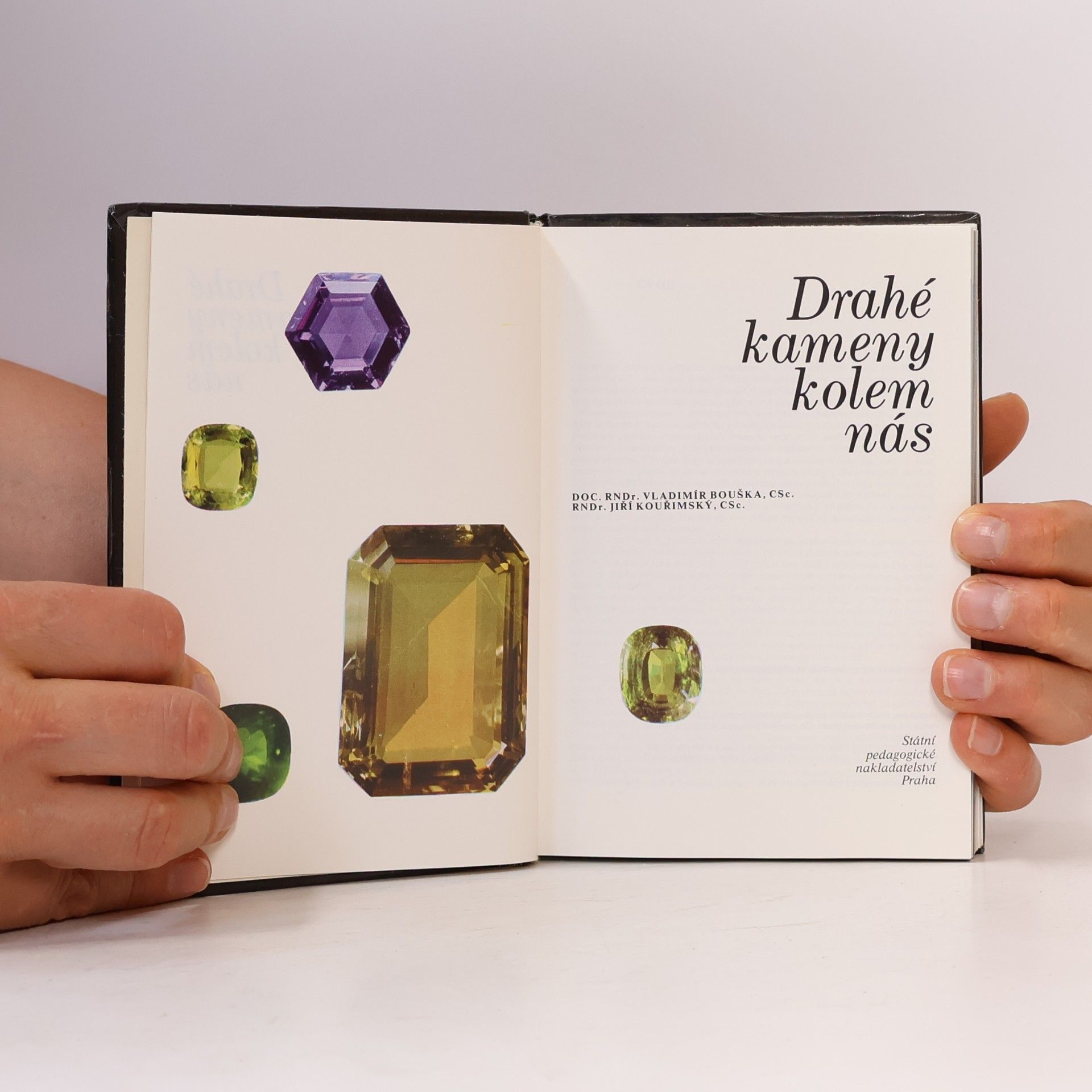 Vladimír Bouška Drahé kameny kolem nás