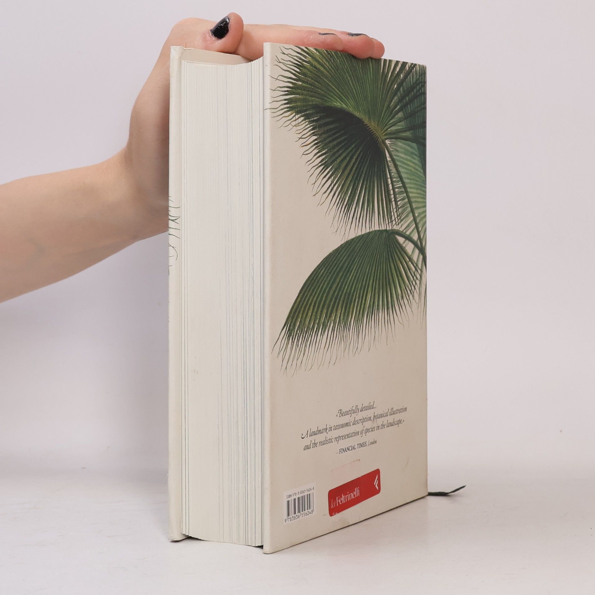Carl Friedrich Philipp von Martius Bibliotheca Universalis: Martius. El libro de las palmeras