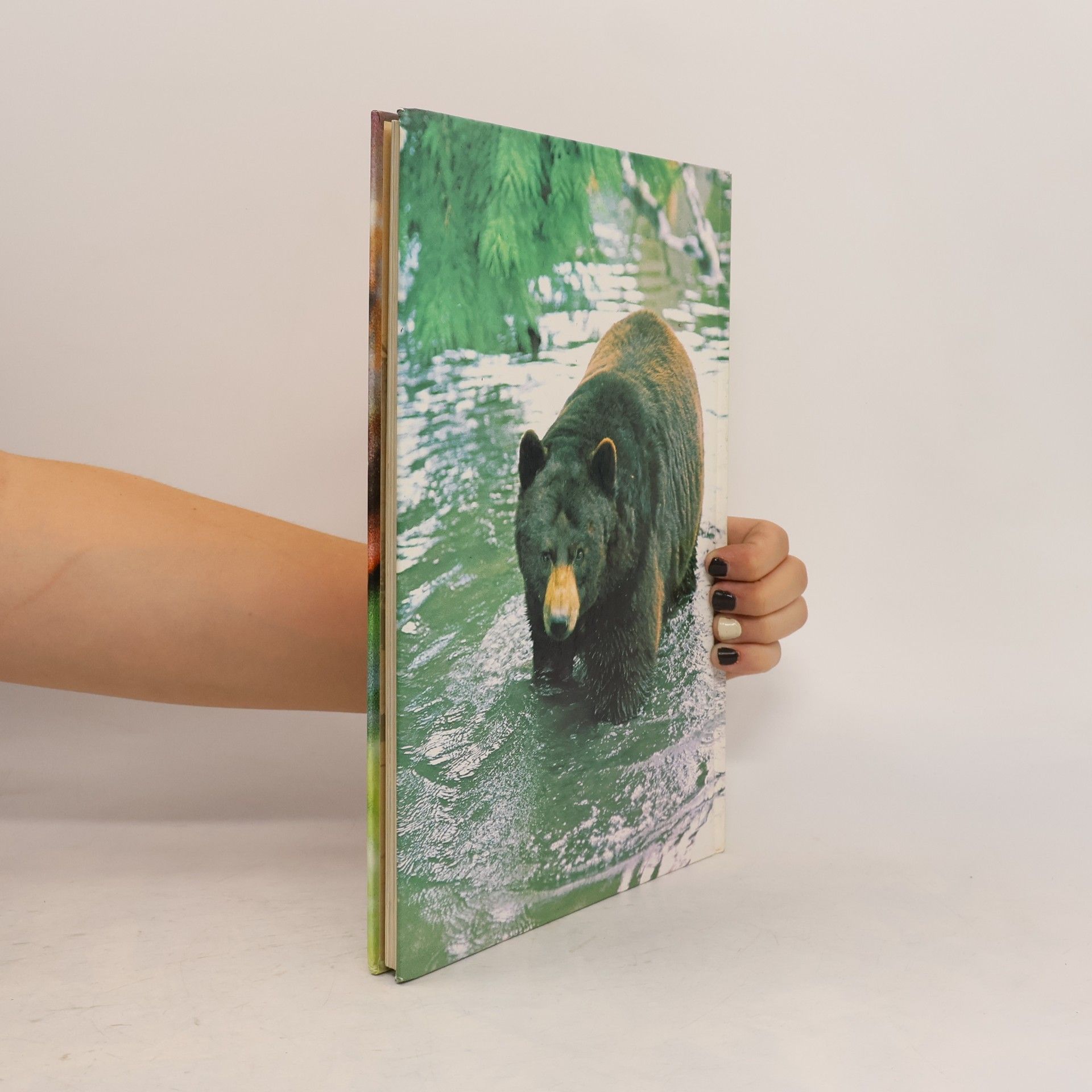 Collectif d'auteurs Vita degli animali 3