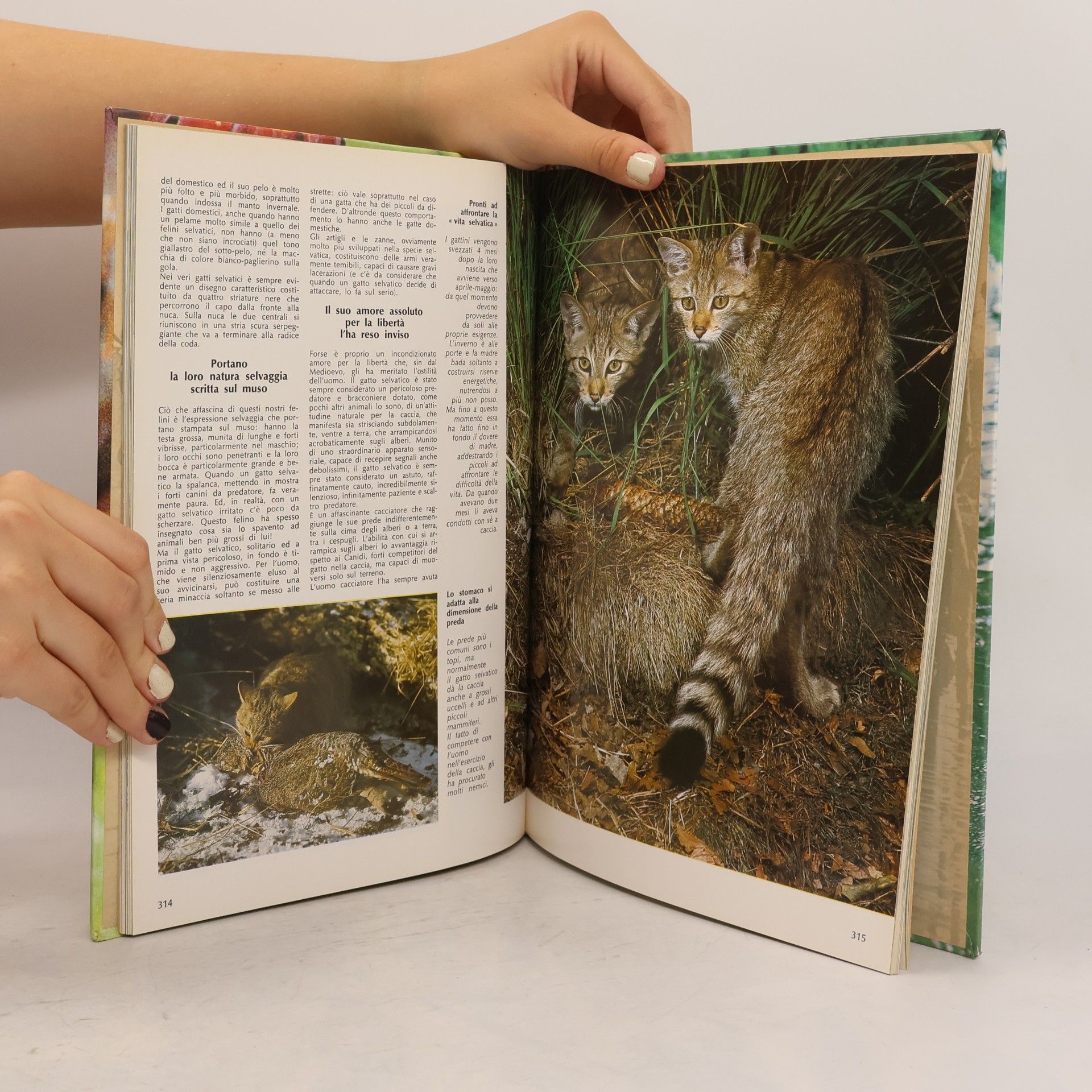 Collectif d'auteurs Vita degli animali 3