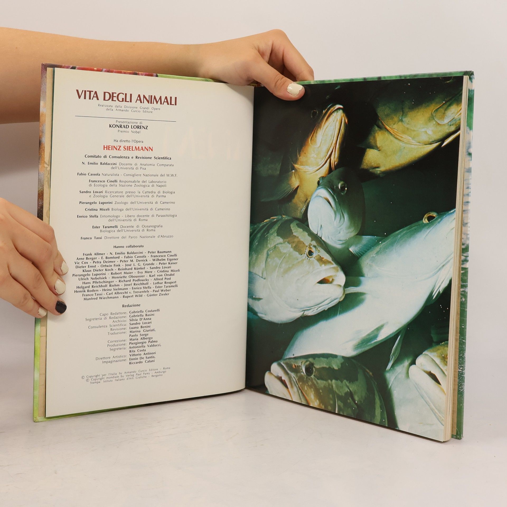 Collectif d'auteurs Vita degli animali 3