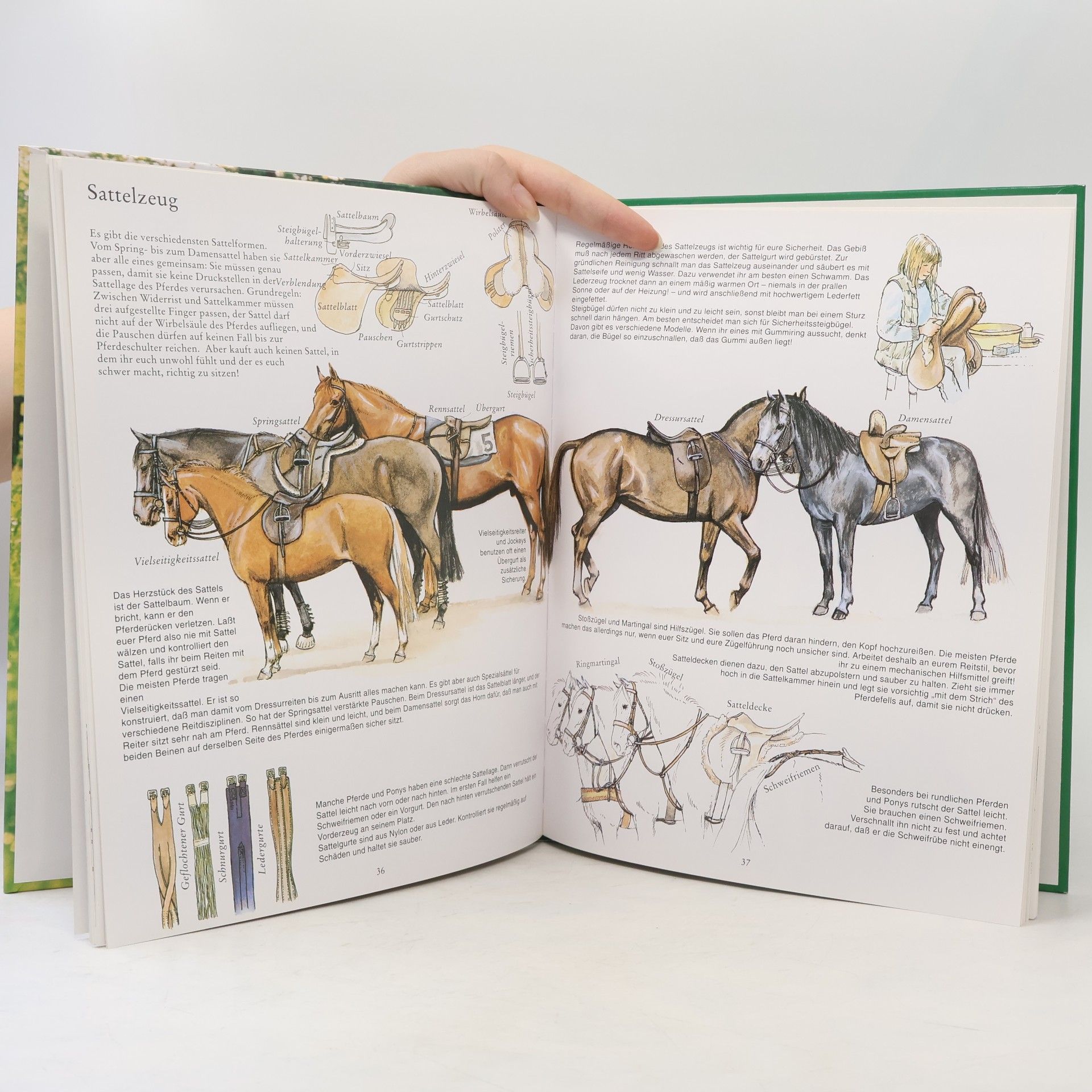 Carolyn Henderson Mein erstes Buch vom Reiten