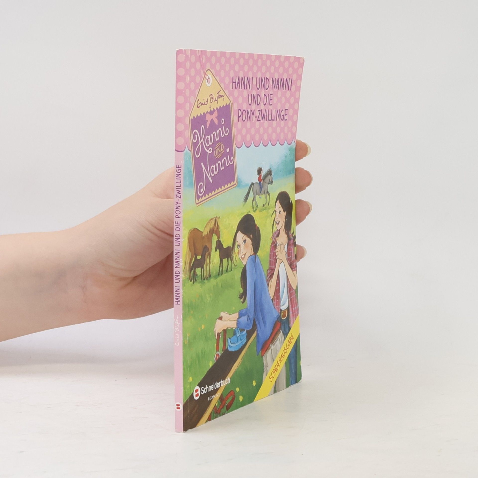 Enid Blyton Hanni und Nanni und die Pony-Zwillinge