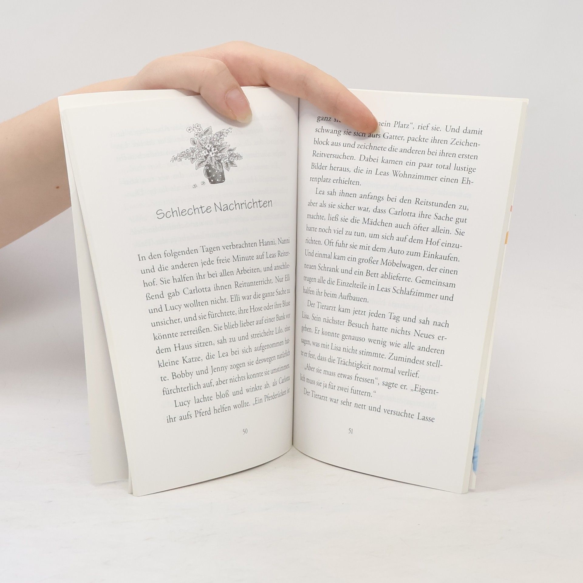 Enid Blyton Hanni und Nanni und die Pony-Zwillinge