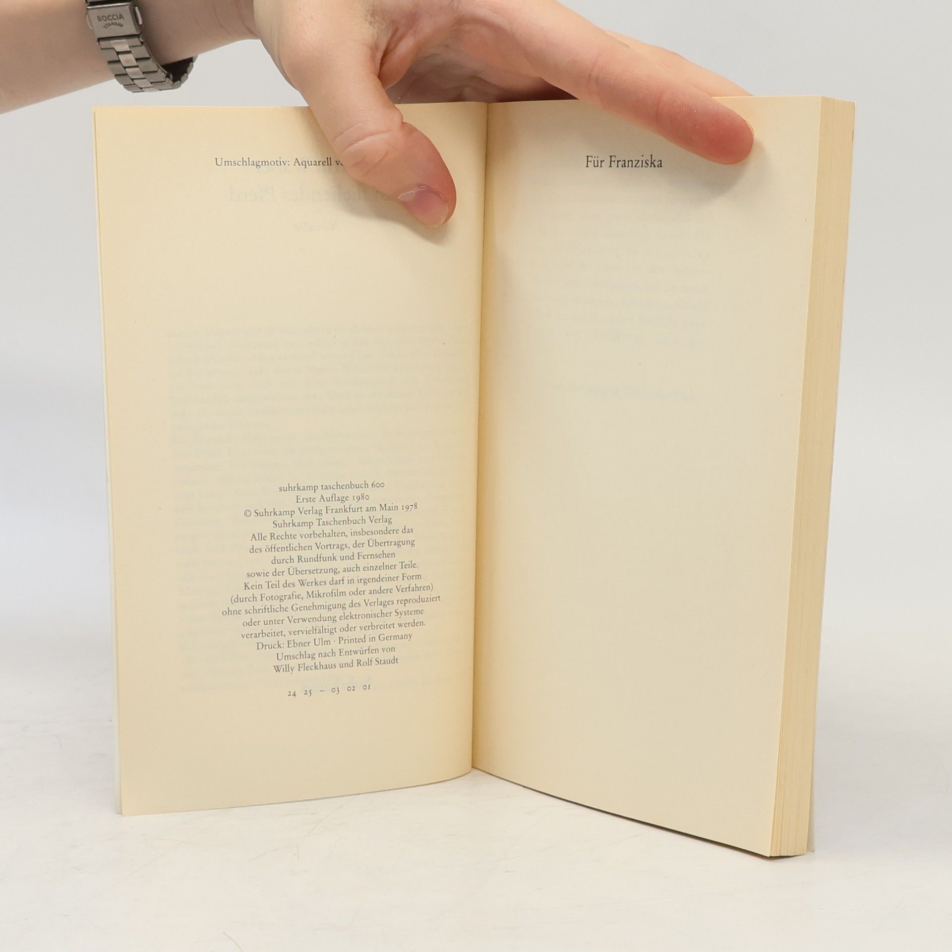Martin Walser Ein fliehendes Pferd