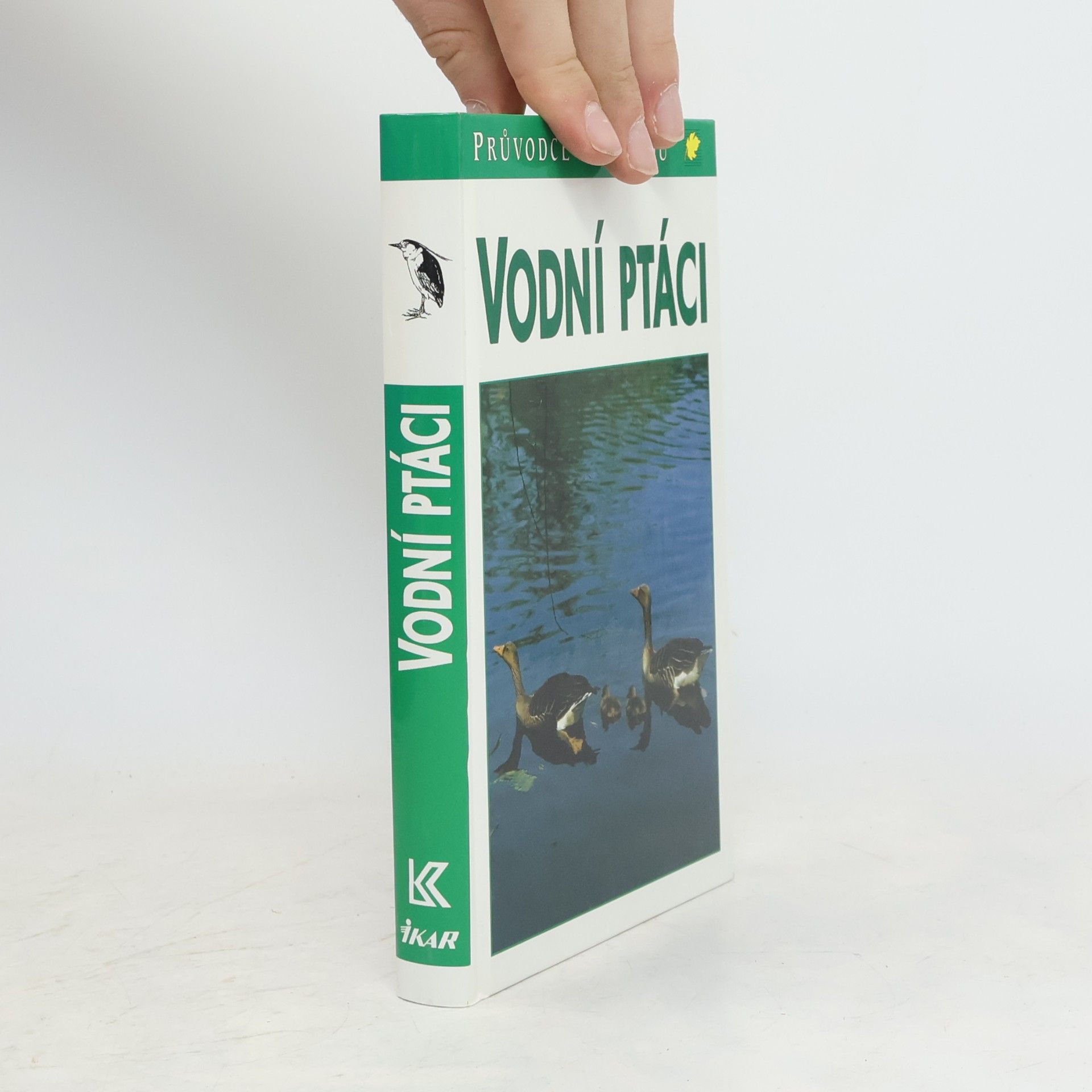 Frieder Sauer Vodní ptáci