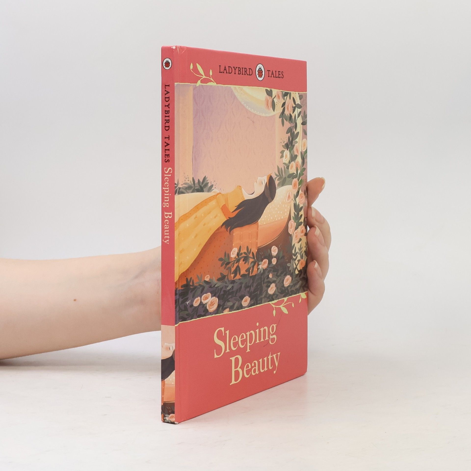 Ladybird Tales: Sleeping Beauty