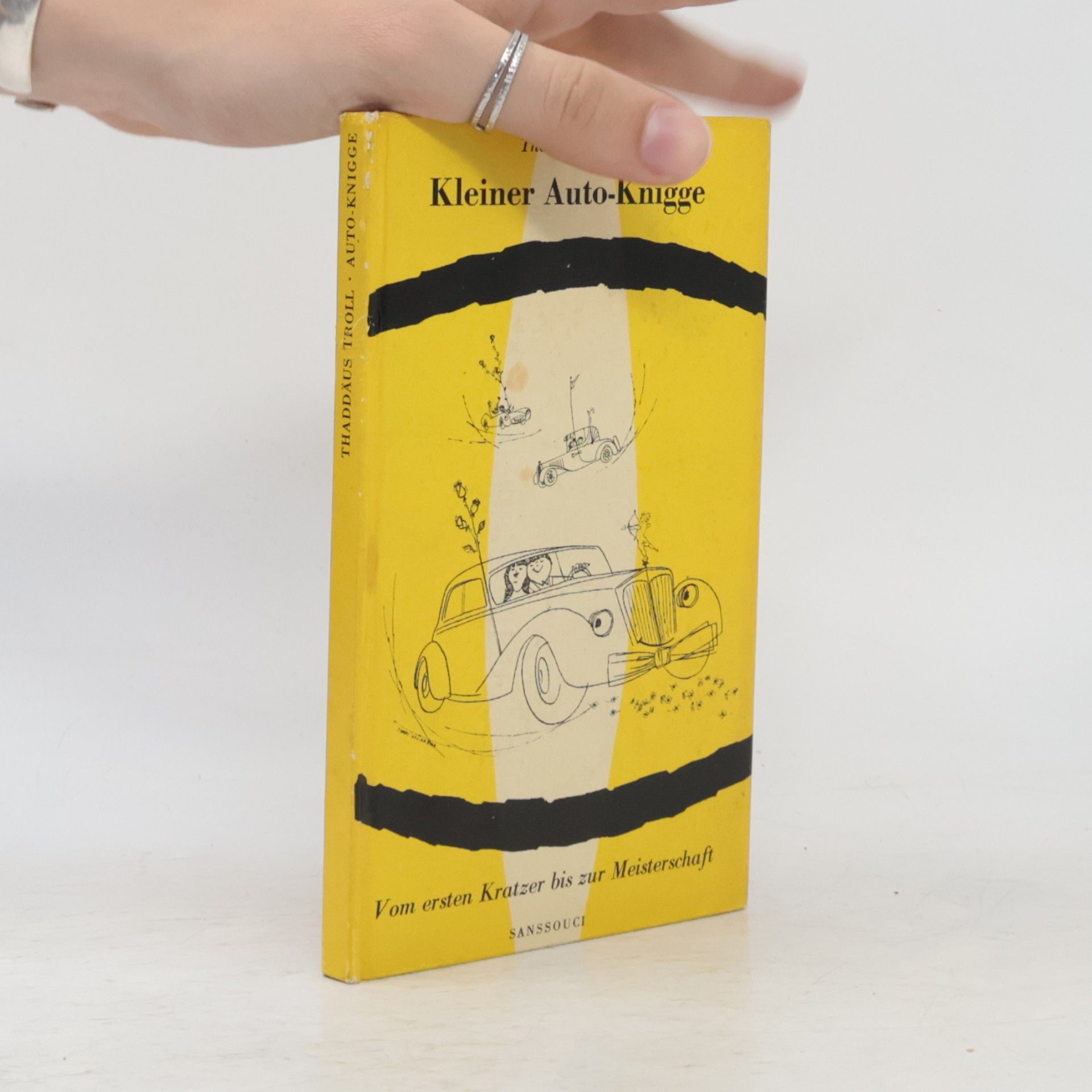 Kleiner Auto-Knigge
