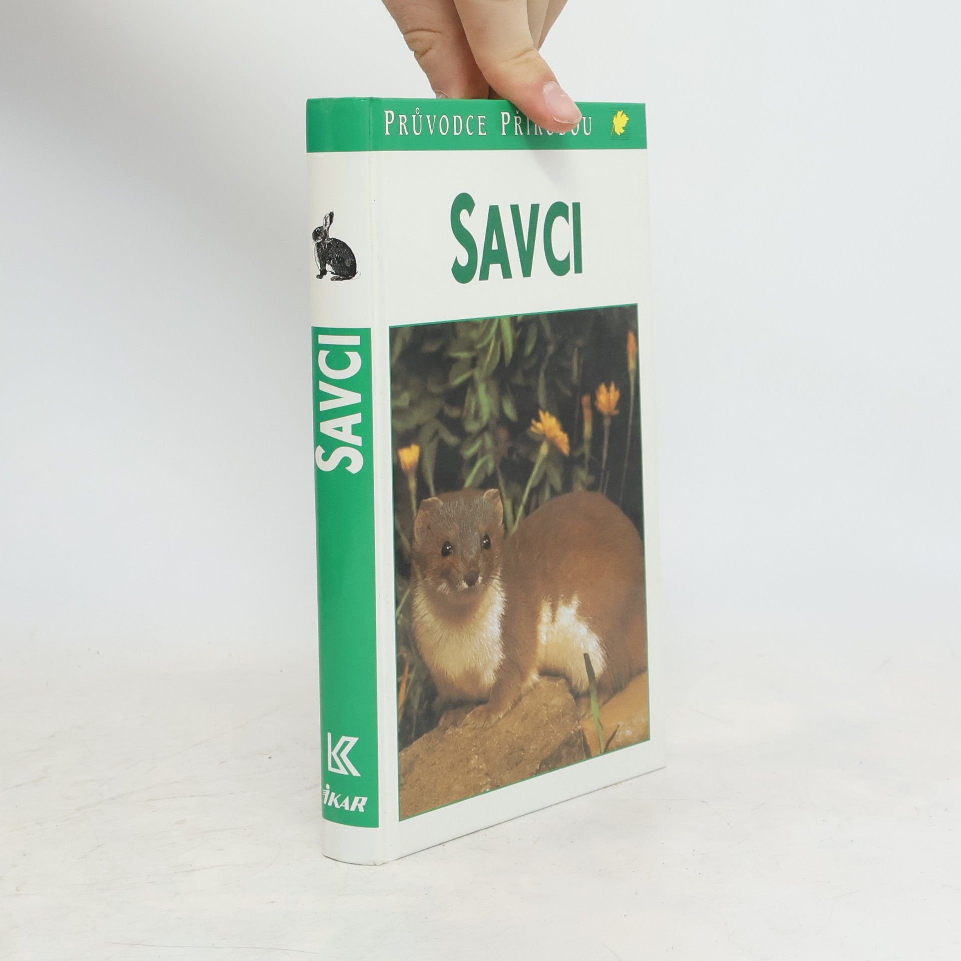 Savci