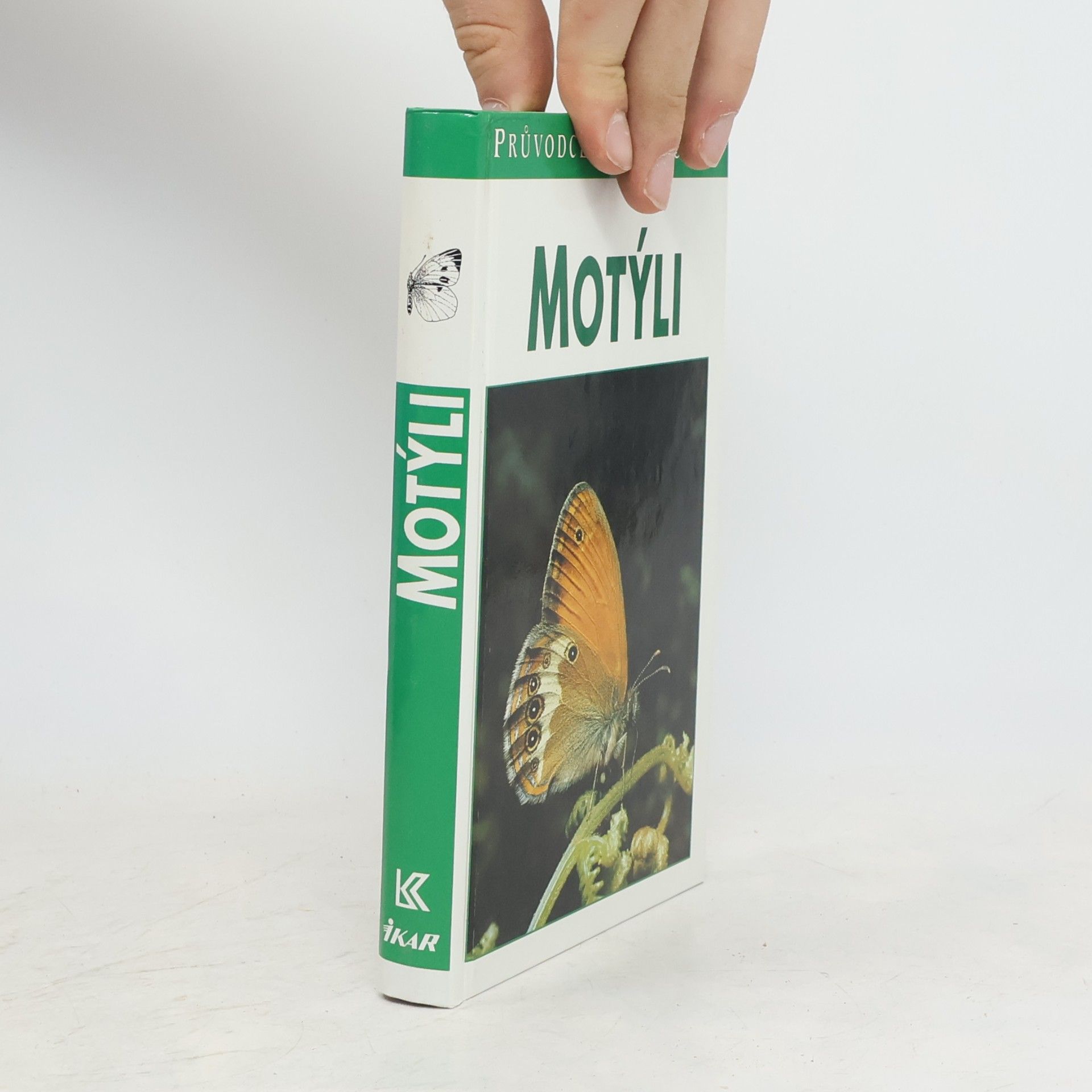 Helgard Reichholf Riehm Motýli