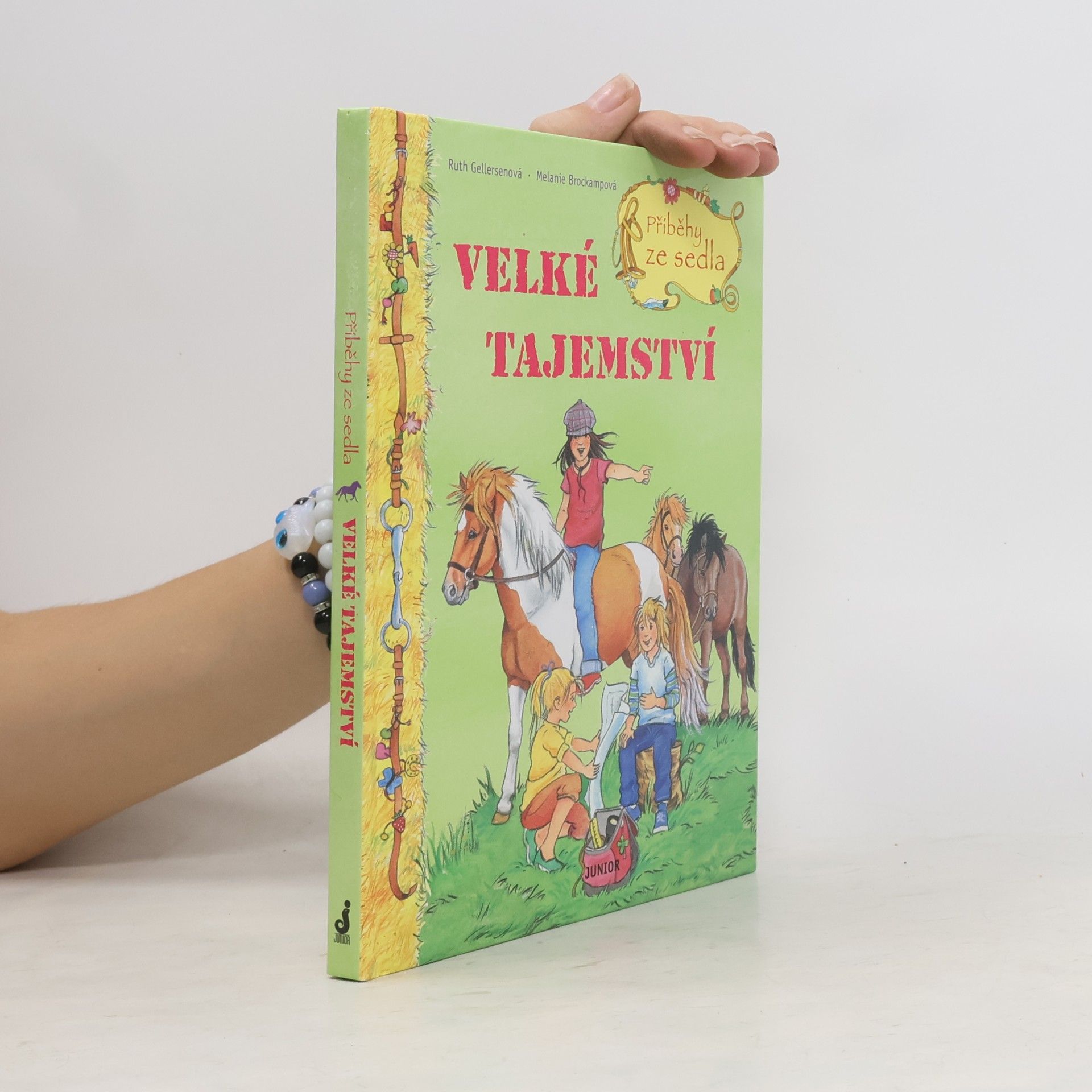 Ruth Gellersen Příběhy ze sedla. Velké tajemství