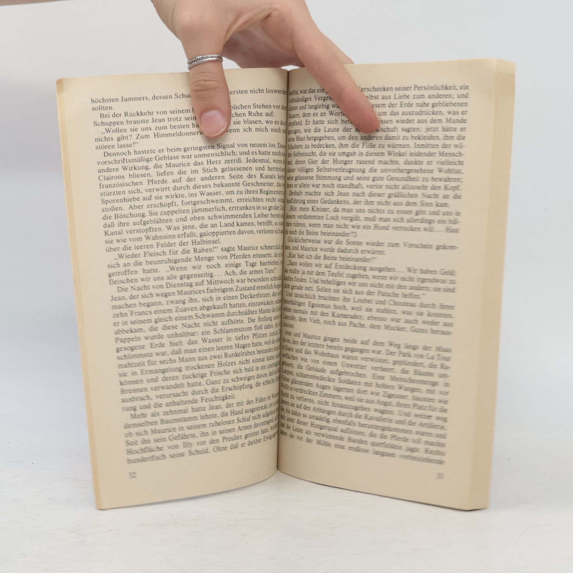 Émile Zola Der Zusammenbruch 2