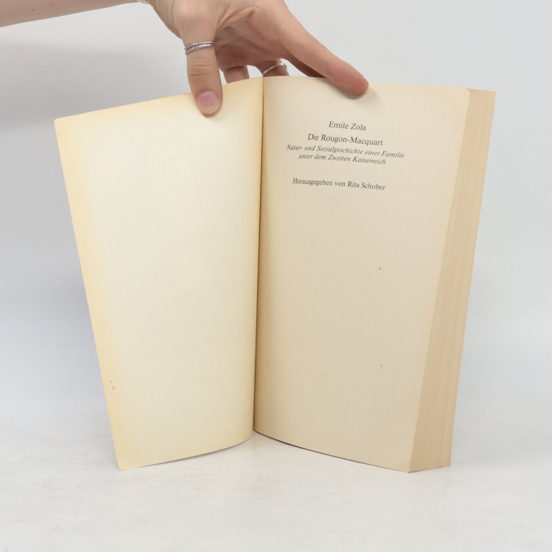 Émile Zola Seine Exzellenz Eugène Rougon
