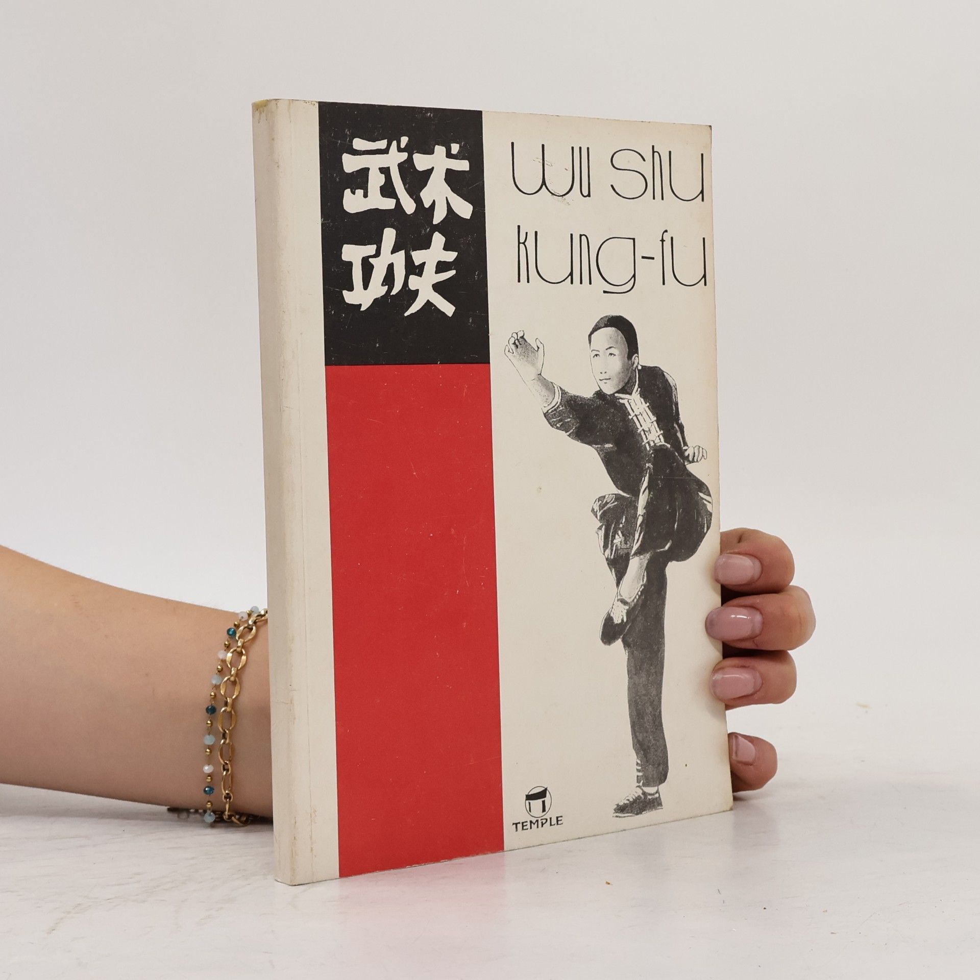Pavel Brabec Wu shu. Kung-fu