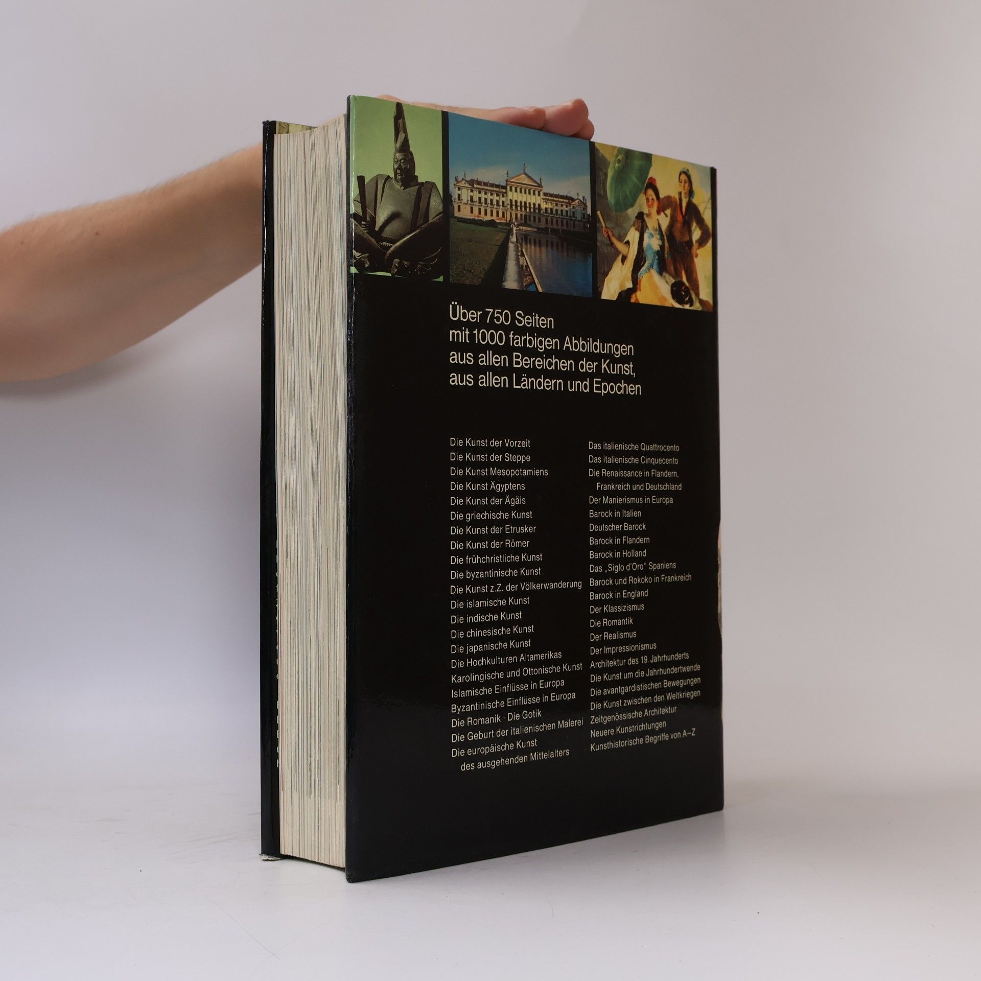 Gina Pischei Illustrierte Kunstgeschichte der Welt