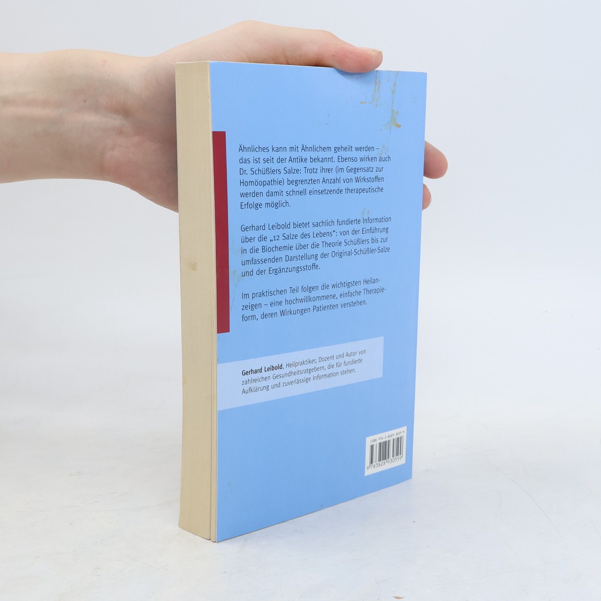 Gerhard Leibold Das große Handbuch Schüßler-Salze