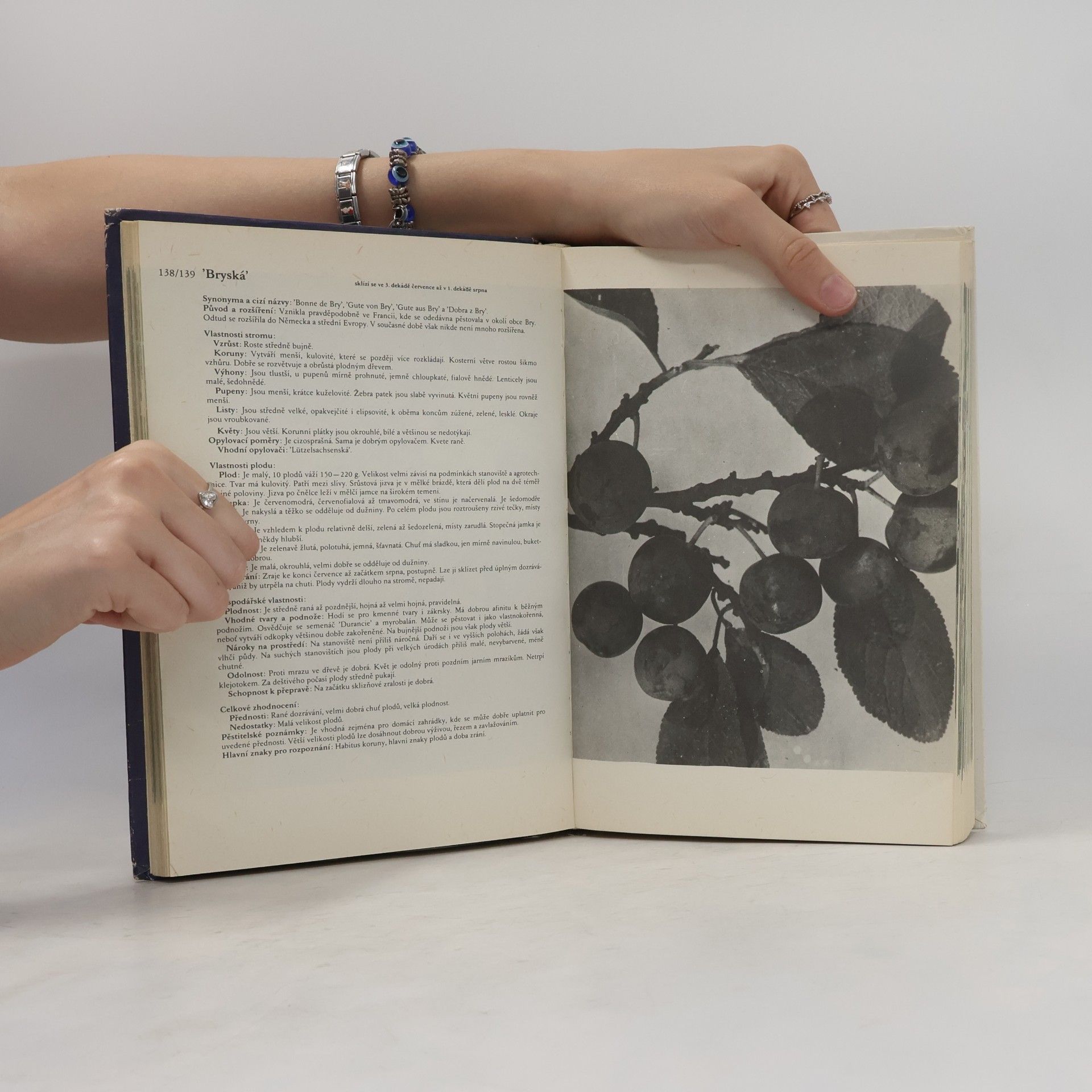 Antonín Dvořák Atlas odrůd ovoce
