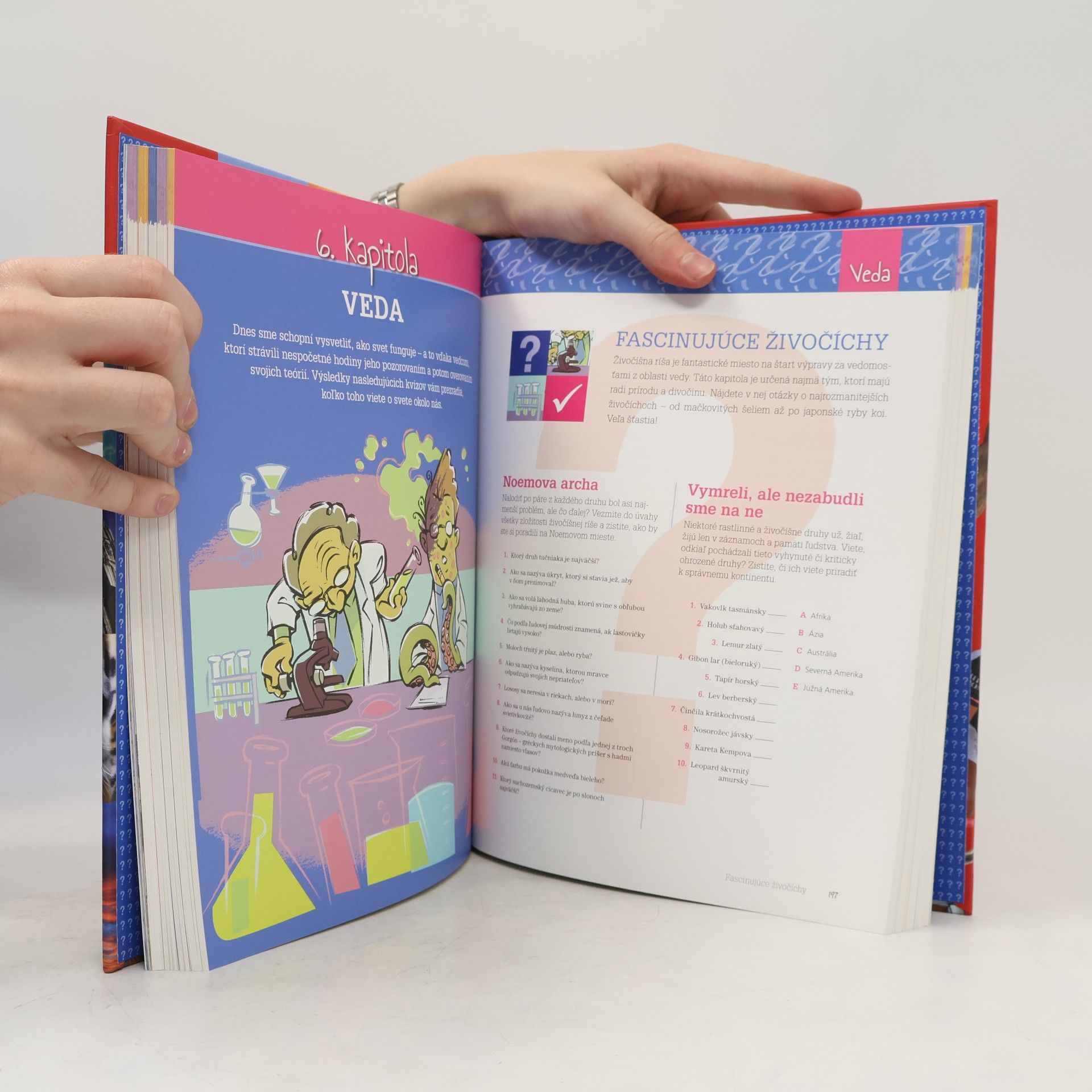 Autorenkollektiv Kniha plná otáznikov, alebo cesta k titulu domáceho vševeda