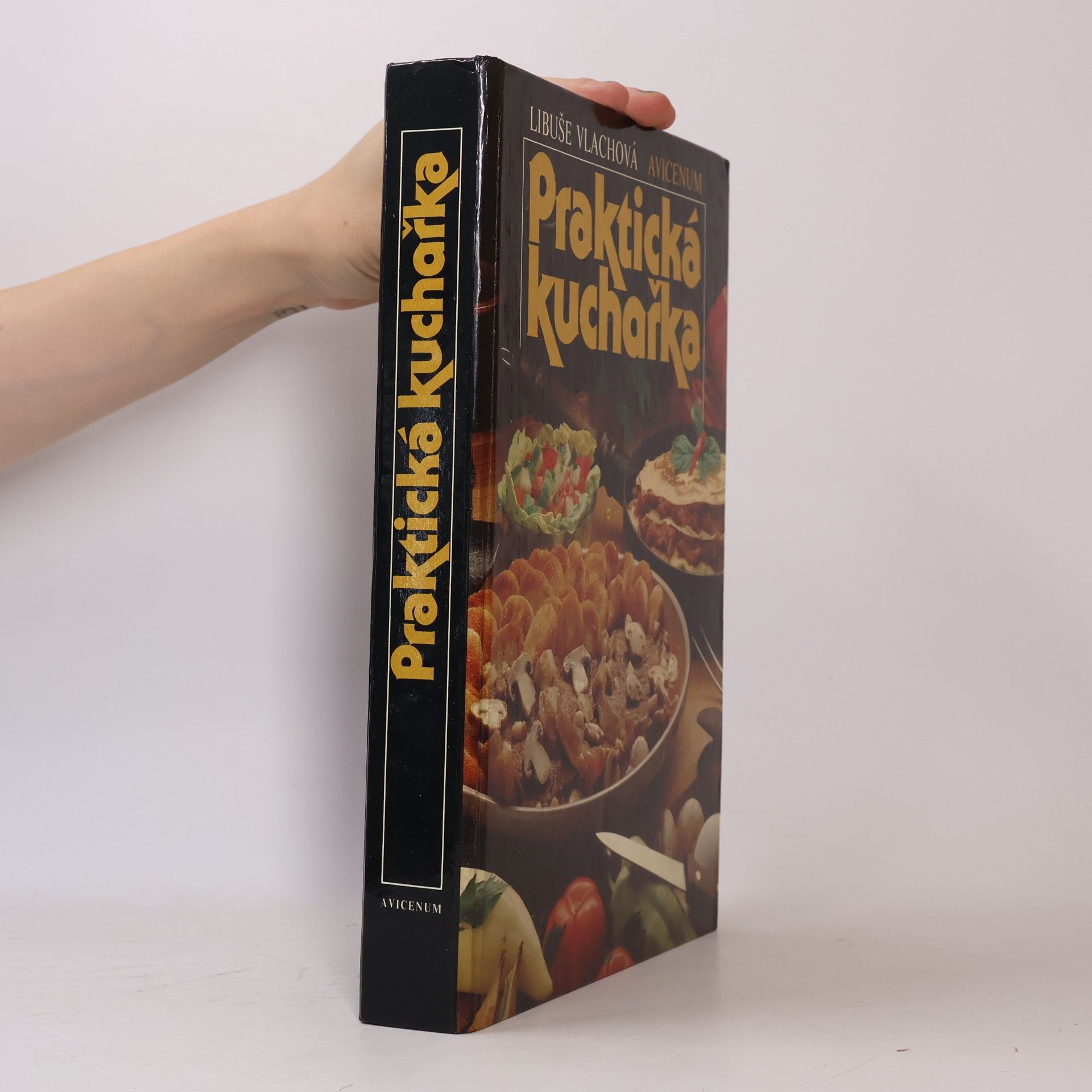 Libuše Vlachová Praktická kuchařka