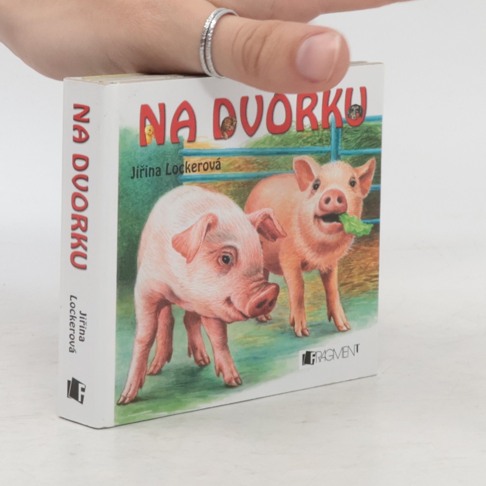 Jirina Lockerova Na dvorku