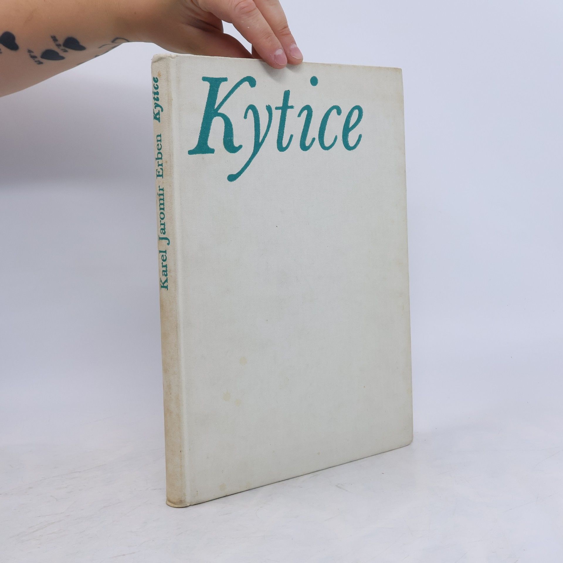 Zdeněk Hendrych Zasněžená kytice
