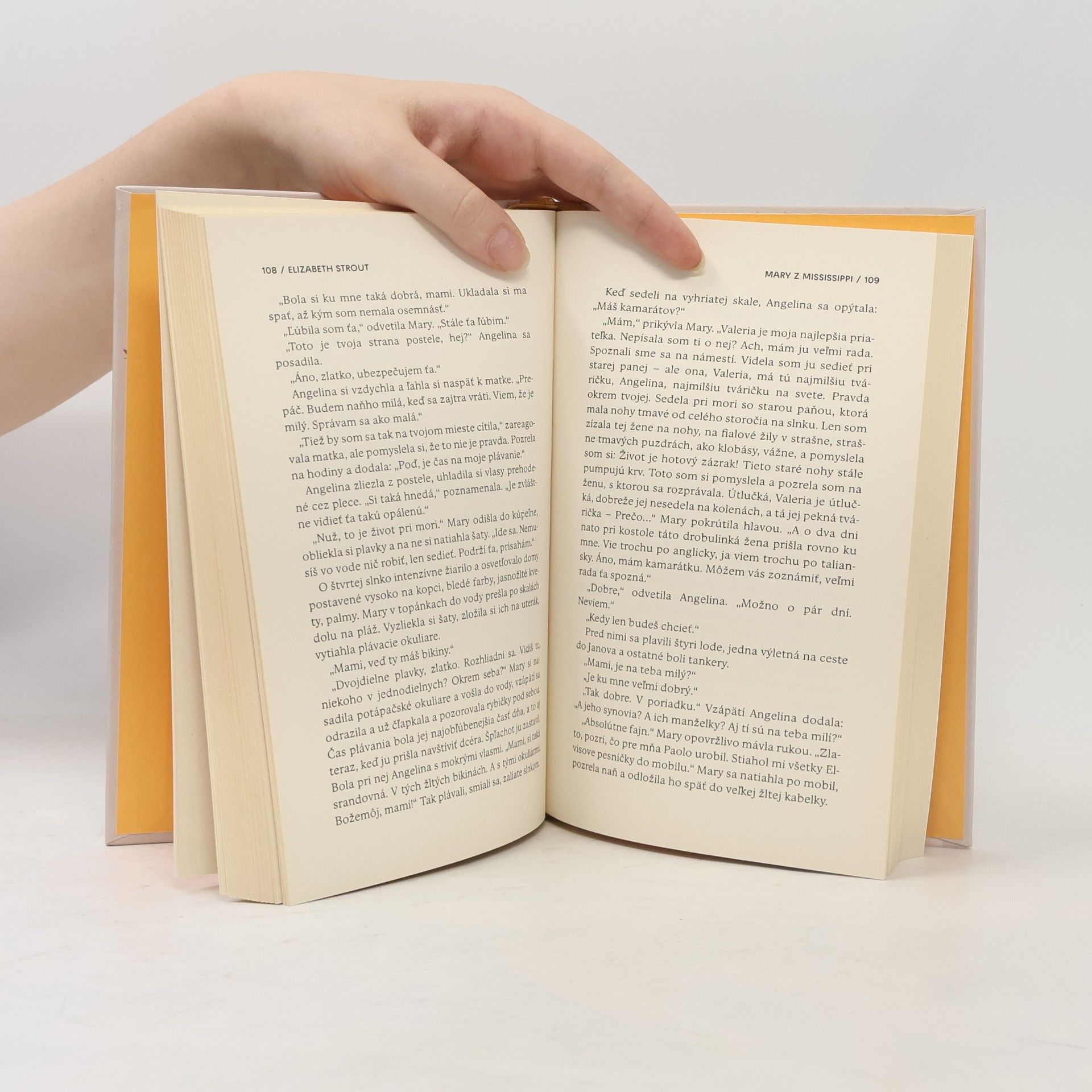 Elizabeth Strout Všetko je možné