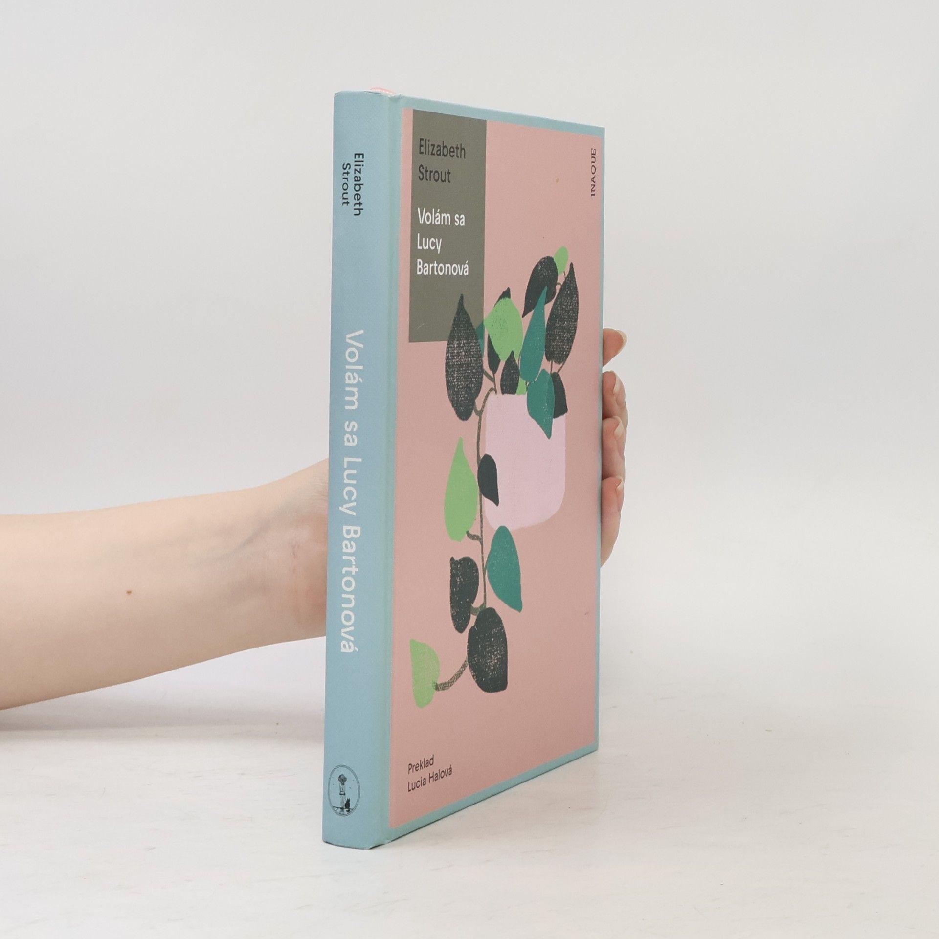Elizabeth Strout Volám sa Lucy Bartonová