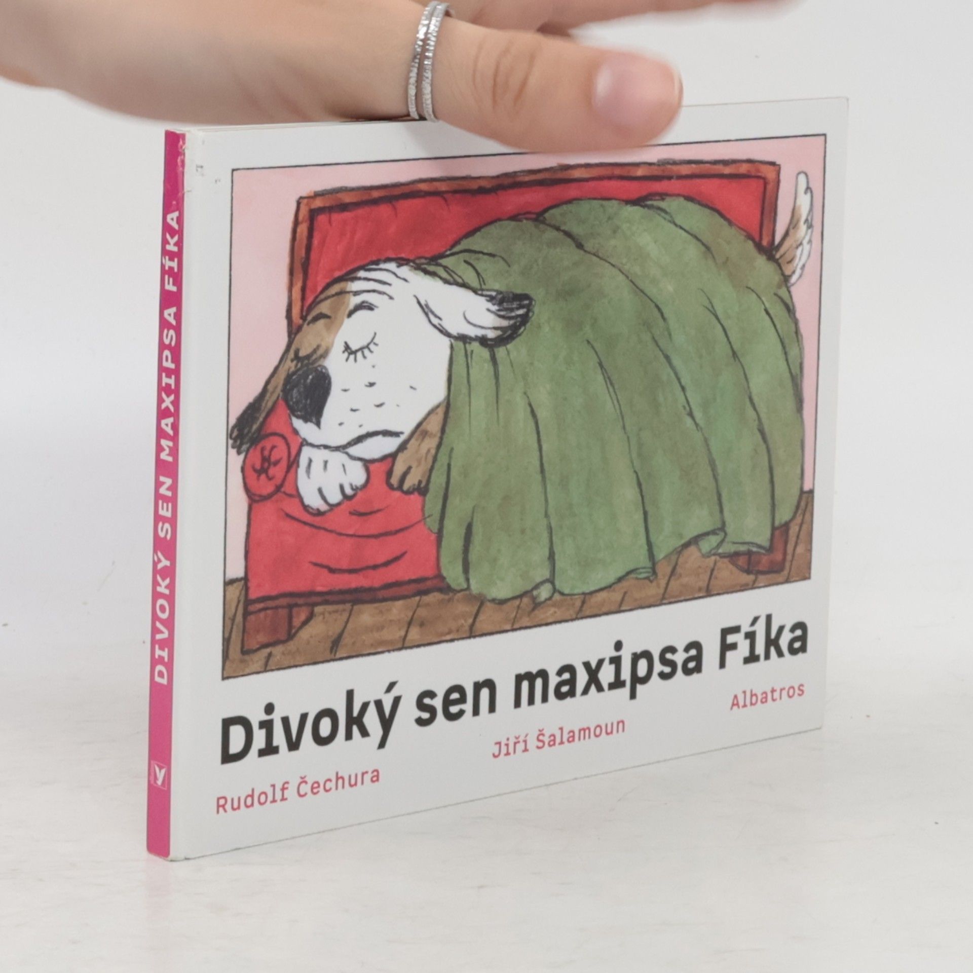 Divoký sen Maxipsa Fíka