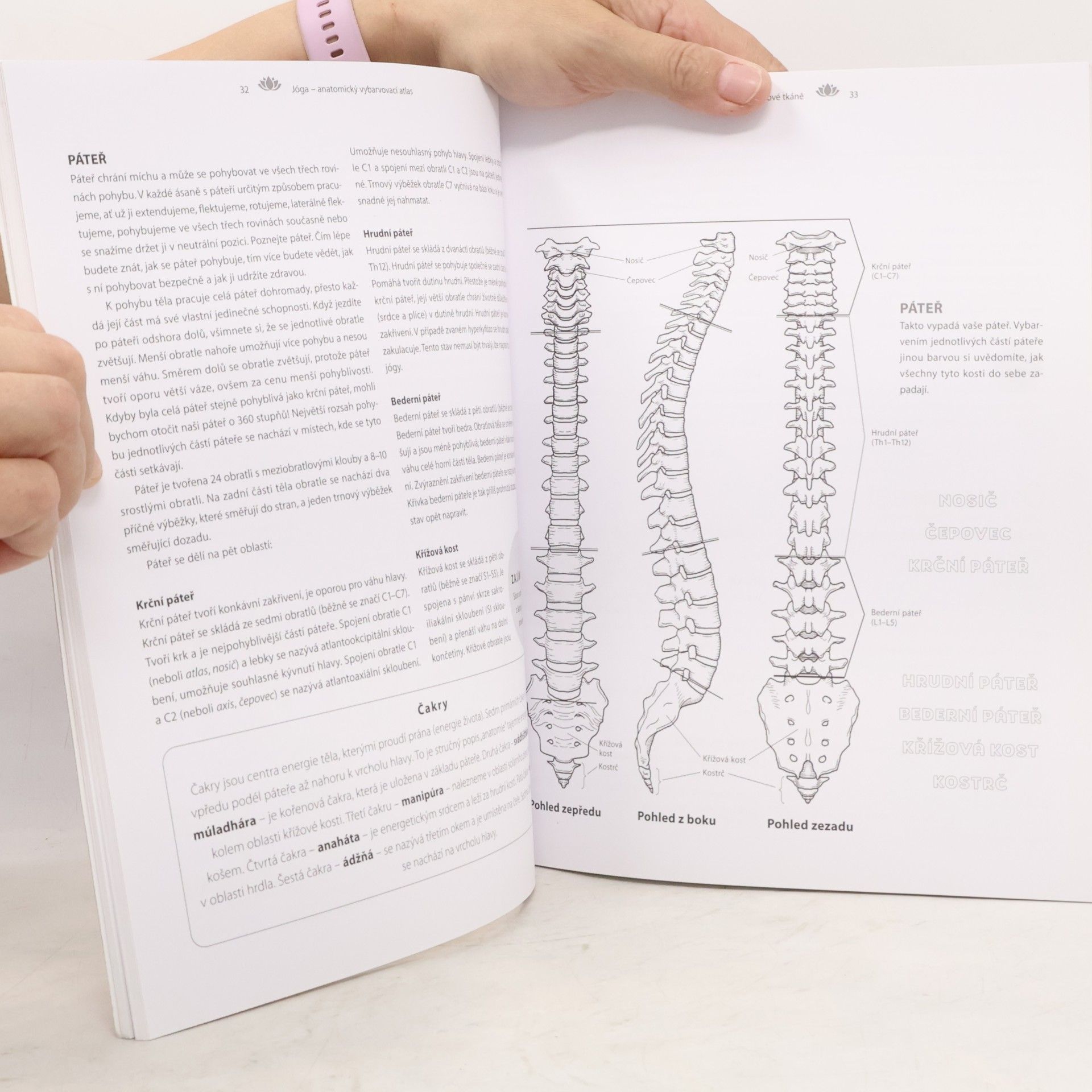 Kelly Solloway Jóga. Anatomický vybarvovací atlas. Praktický průvodce svaly, kostmi a klouby v pohybu