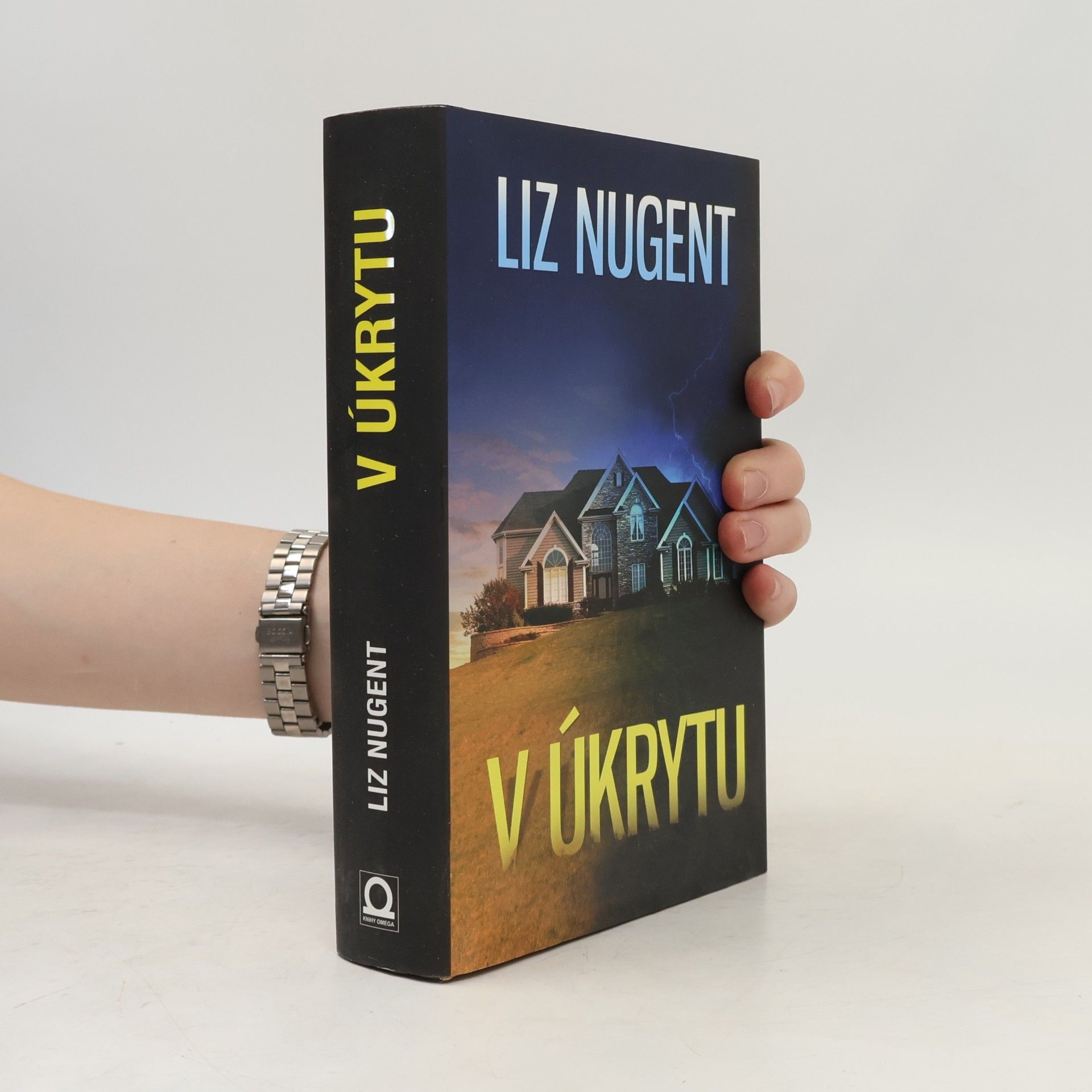 Liz Nugent V úkrytu