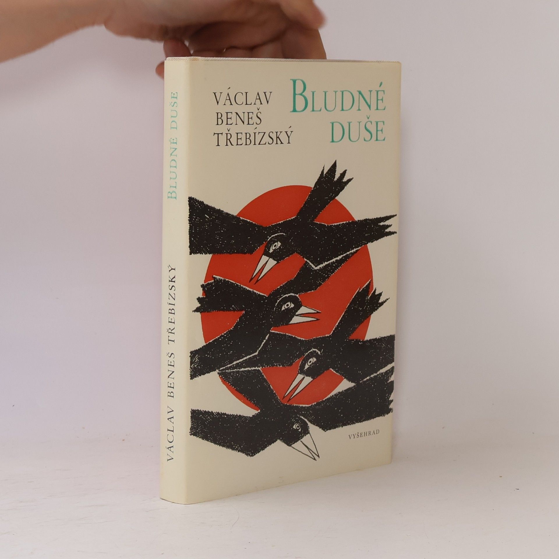Václav Beneš Třebízský Bludné duše